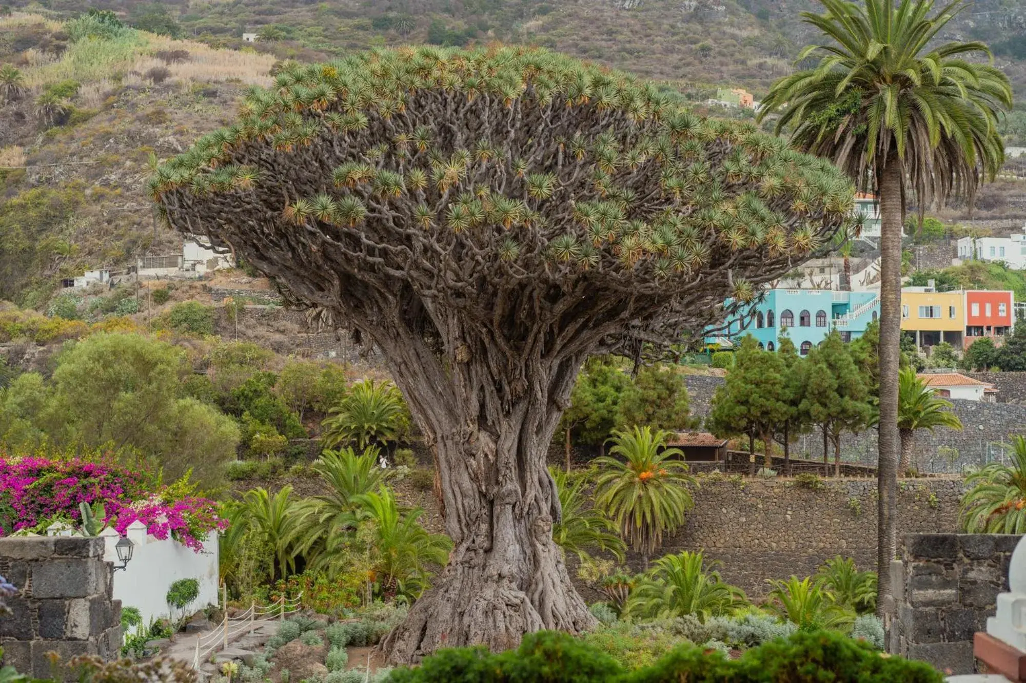 Natural landscape in Drago Hostel