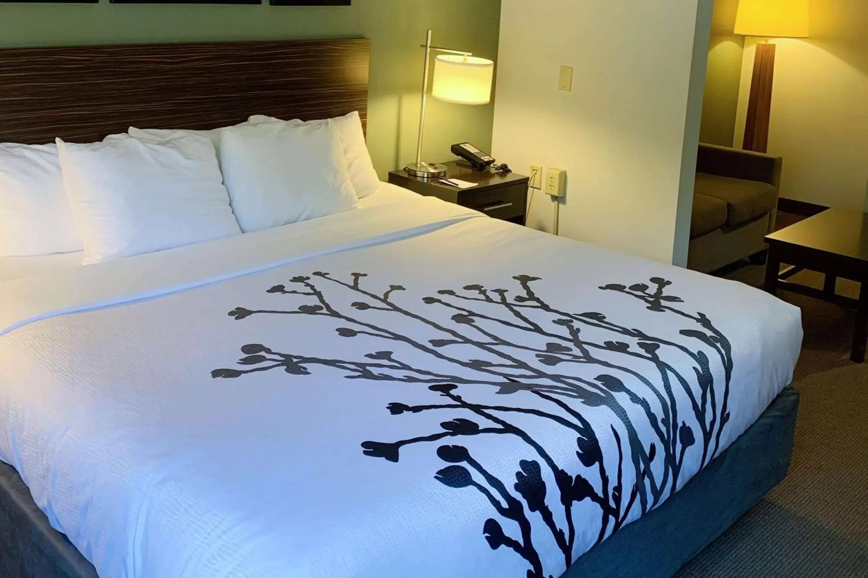 Photo of the whole room, Bed in Sleep Inn & Suites Queensbury - Lake George