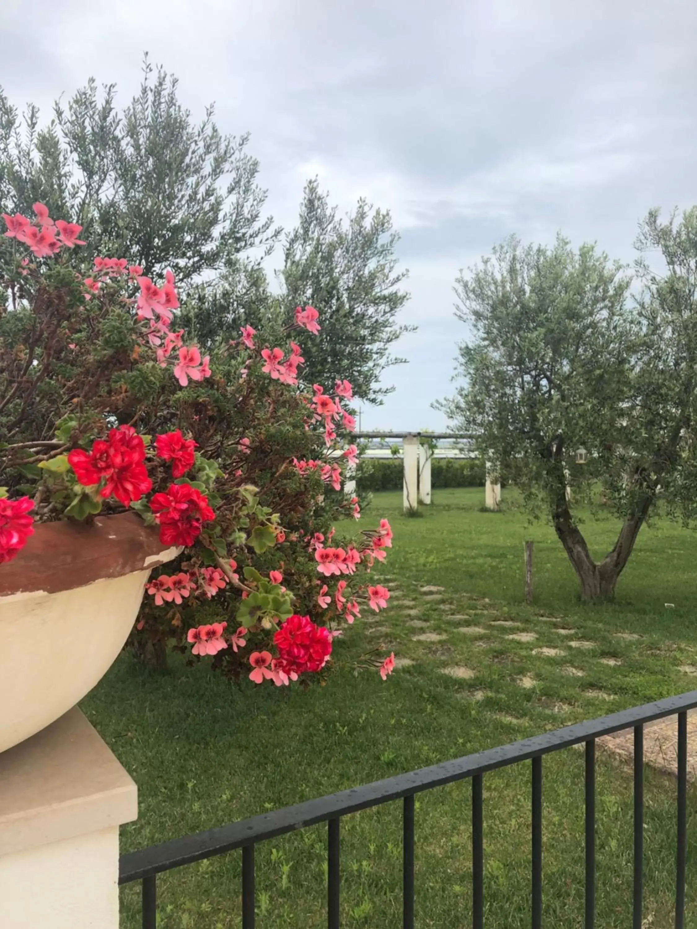 Garden in Tenuta Orsanese