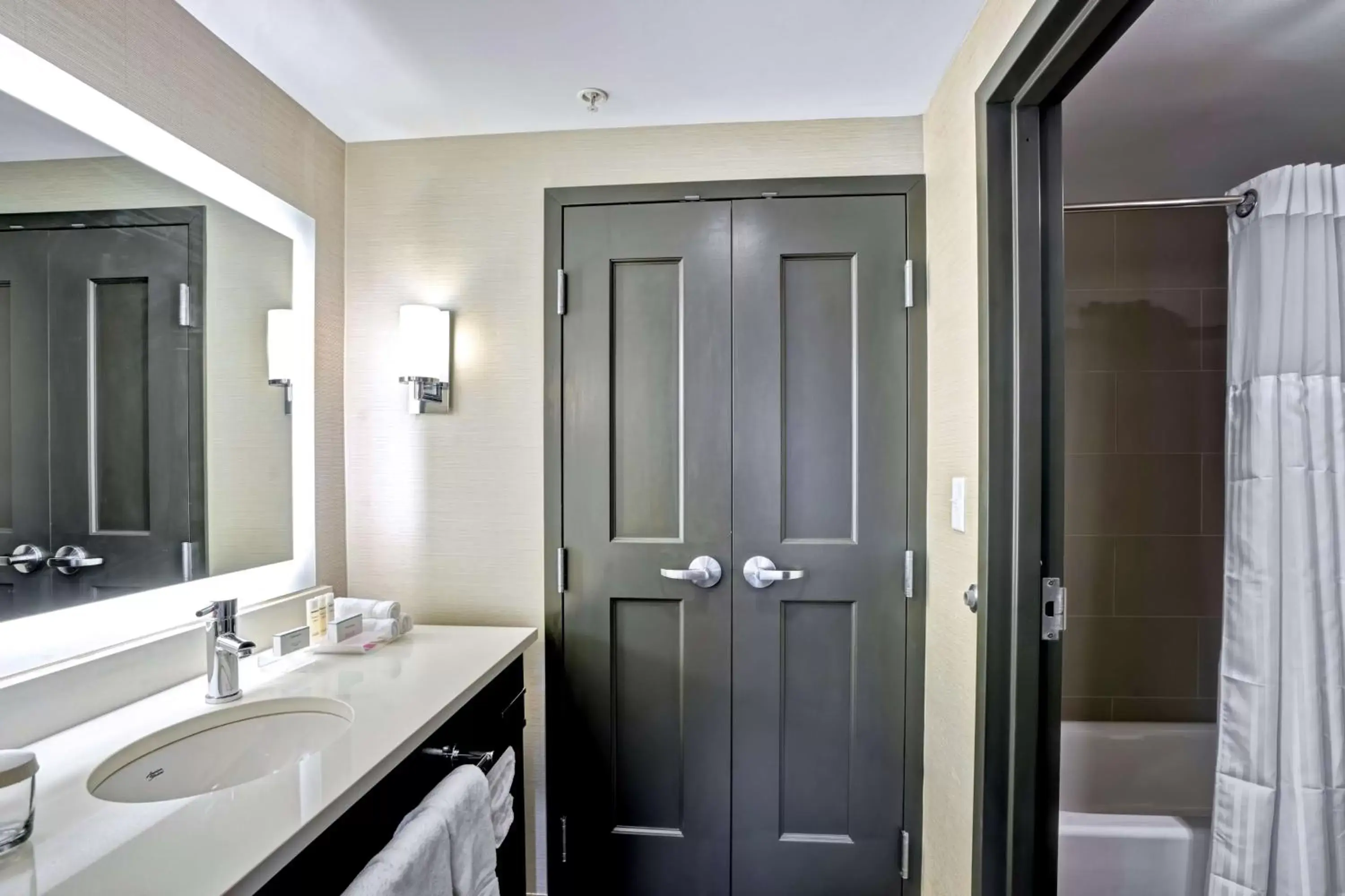 Bathroom in Homewood Suites by Hilton Boston Brookline-Longwood Medical