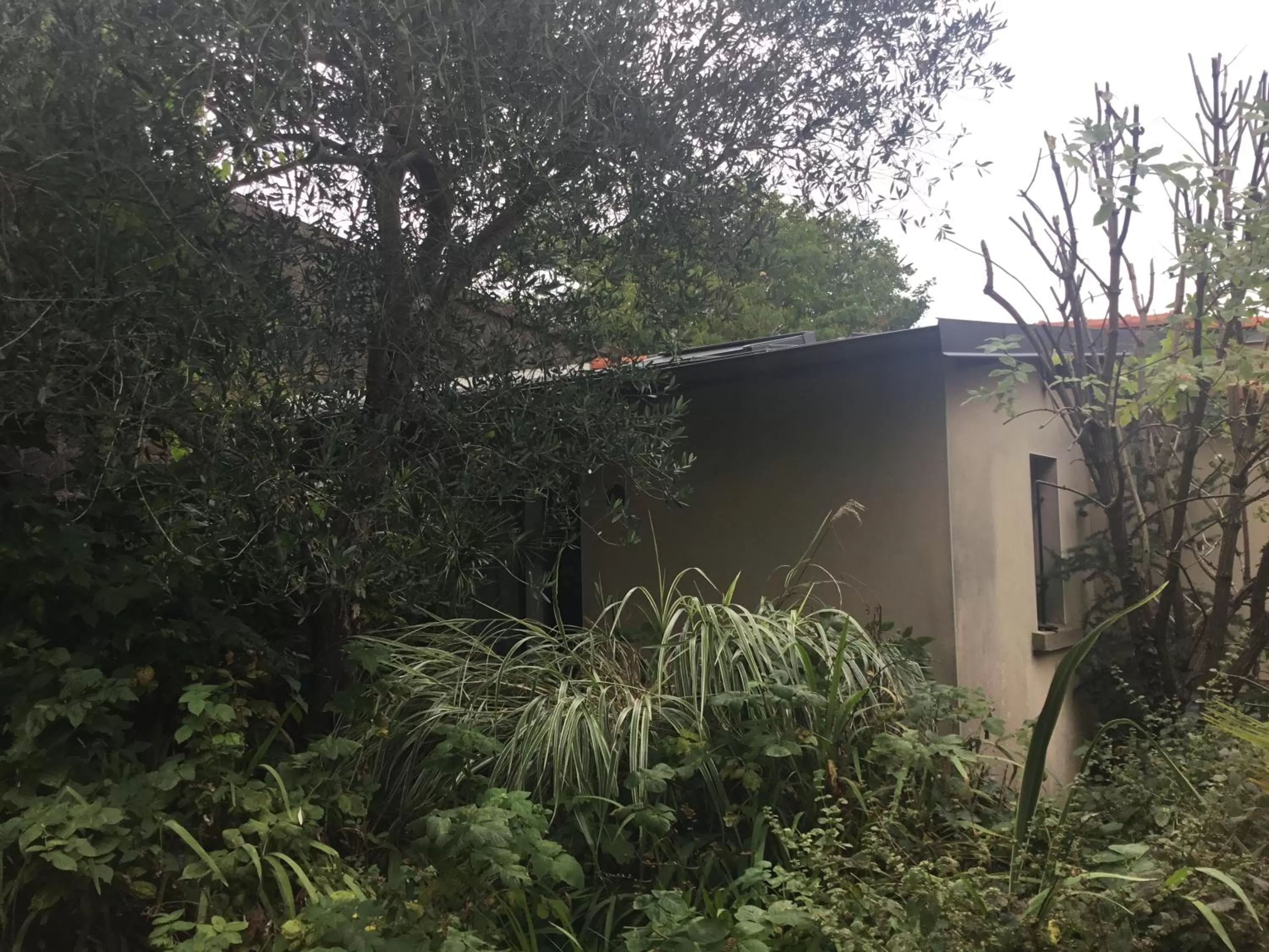 Property building in Maisonnette Nantes