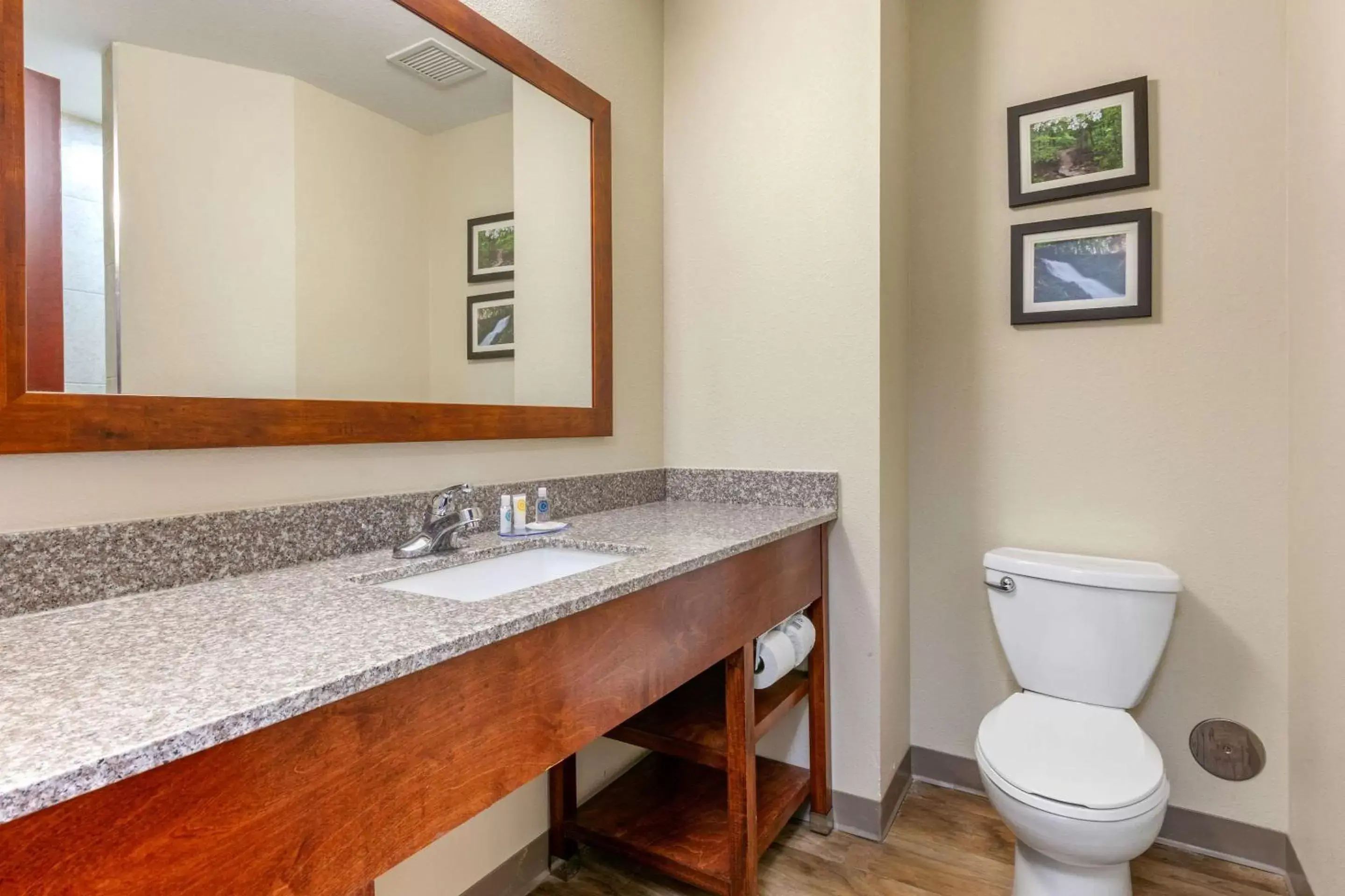 Bathroom in Comfort Inn and Suites Van Buren - Fort Smith