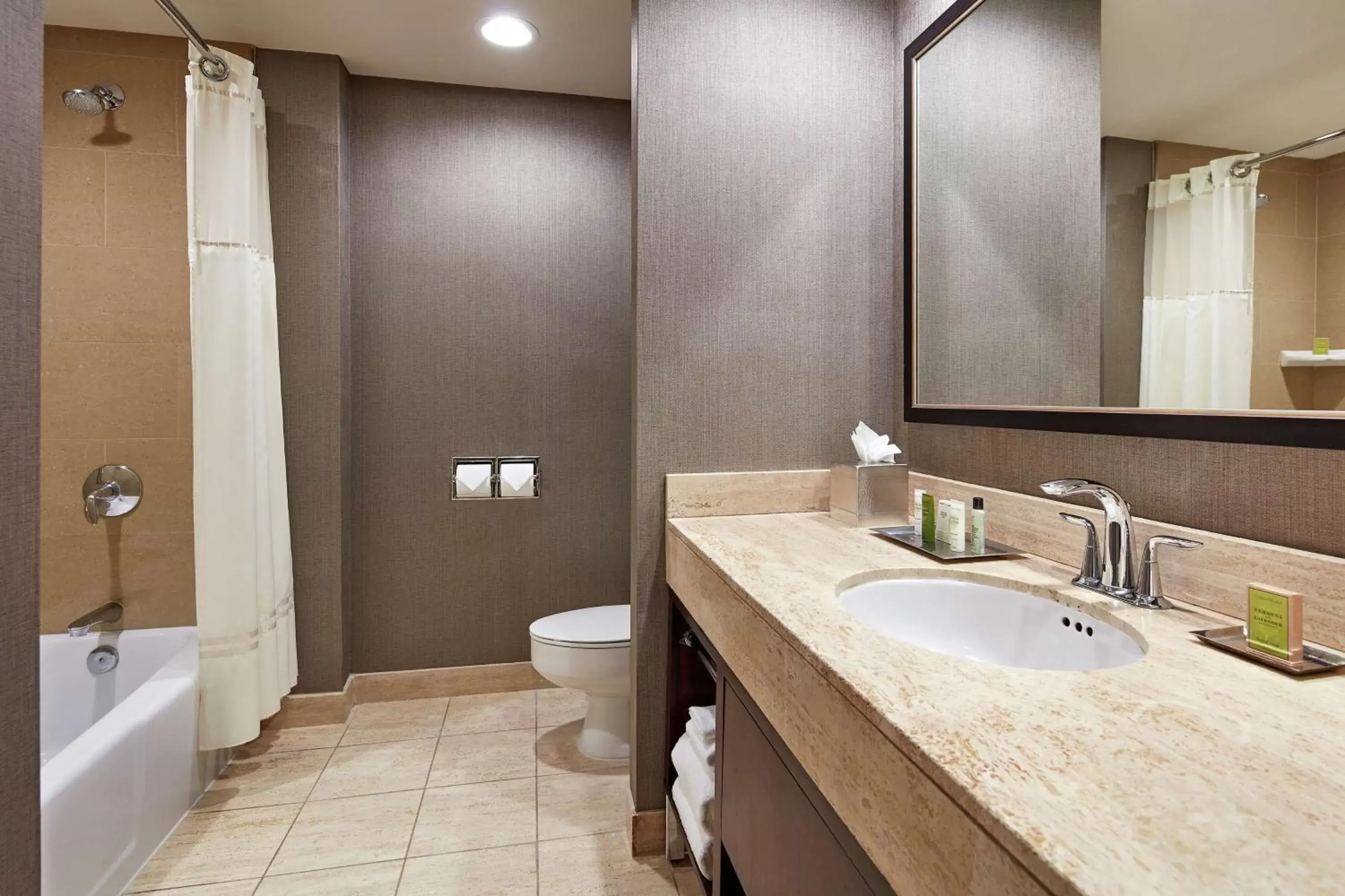 Bathroom in Hilton Houston Plaza/Medical Center