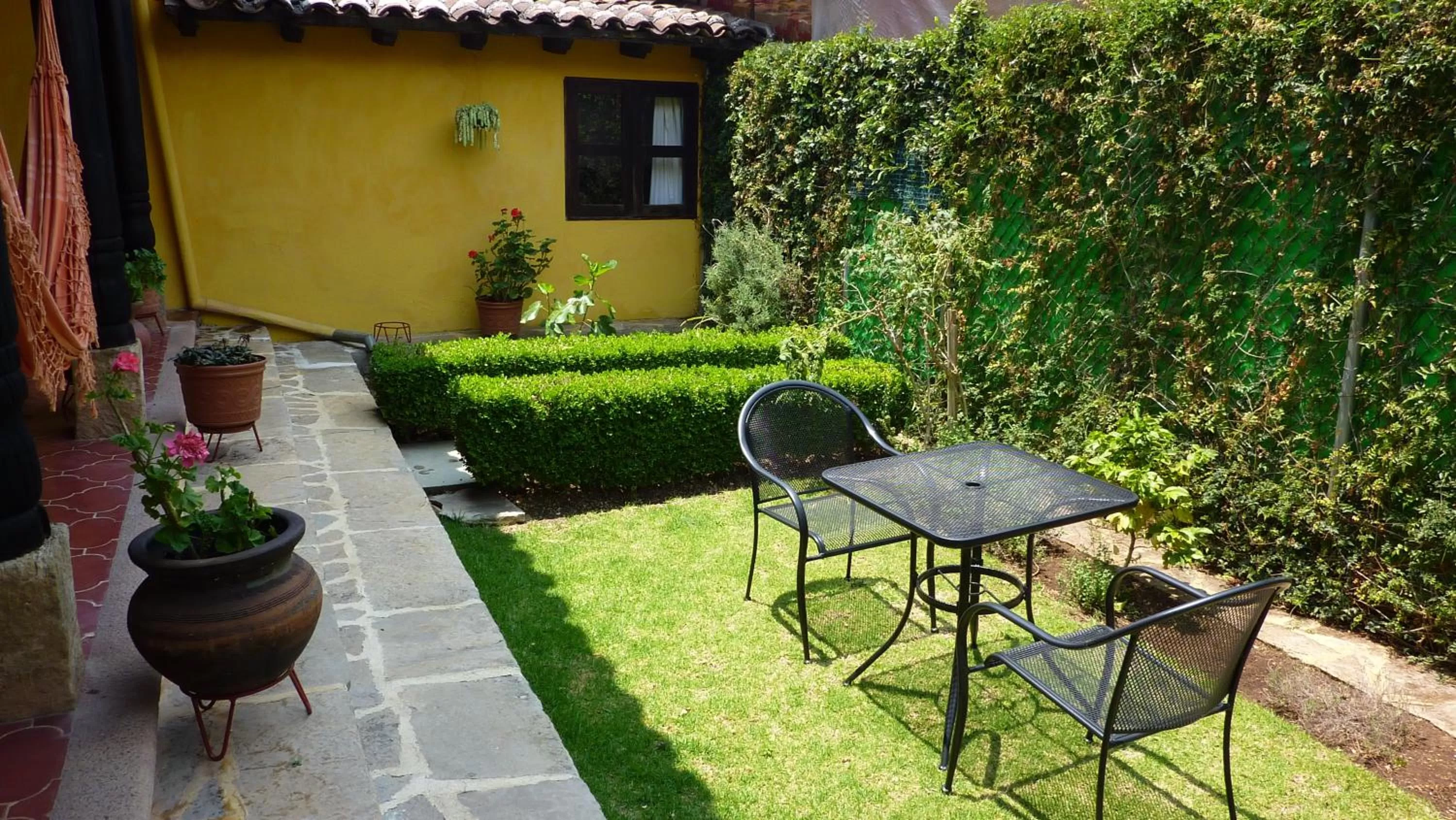 Garden in Hotel Ocho Barrios