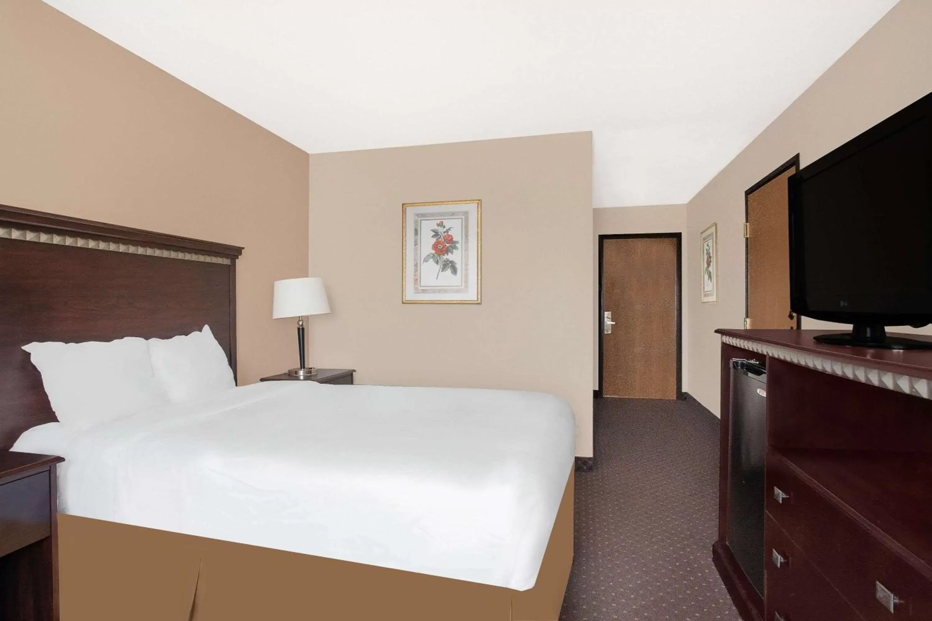 Photo of the whole room, Bed in Baymont Inn & Suites by Wyndham San Marcos