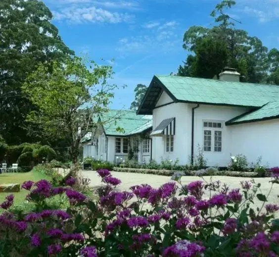 Property Building in The Trevene Hotel