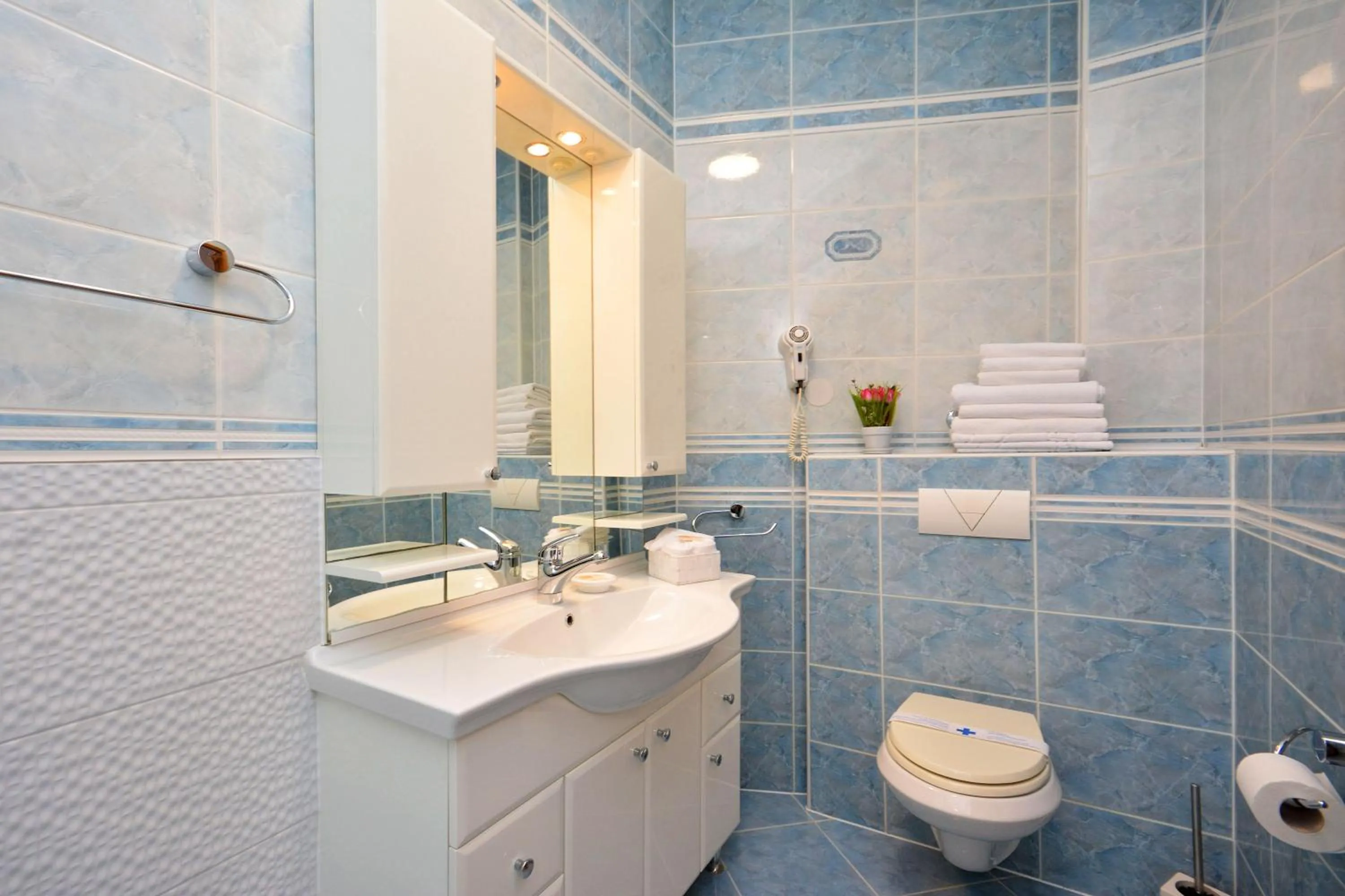 Toilet in Hotel Adriana