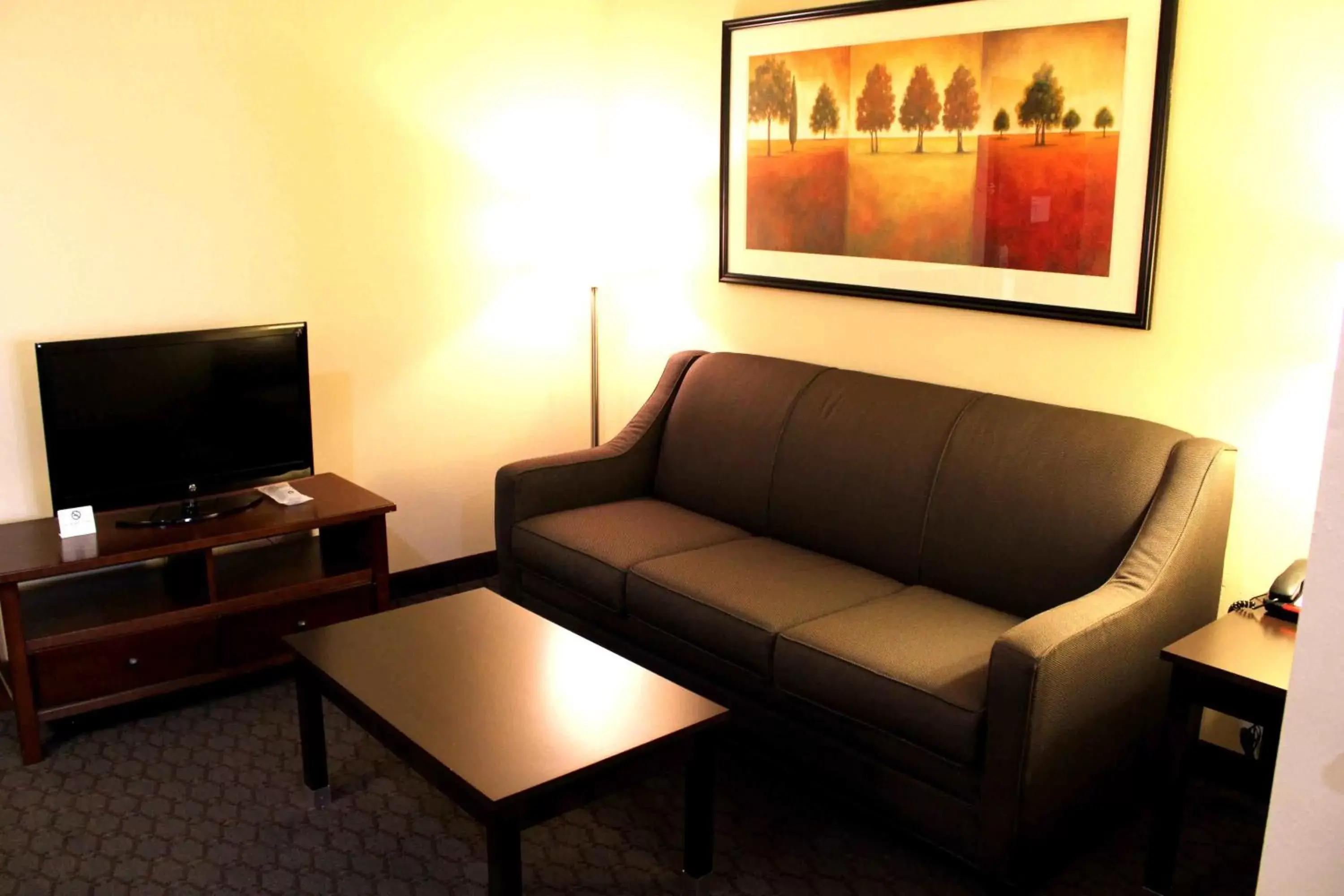 TV and multimedia, Seating Area in Best Western Sky Valley Inn