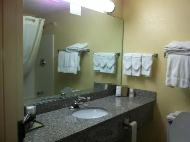 Bathroom in Super 8 by Wyndham Piedmont Greenville Area