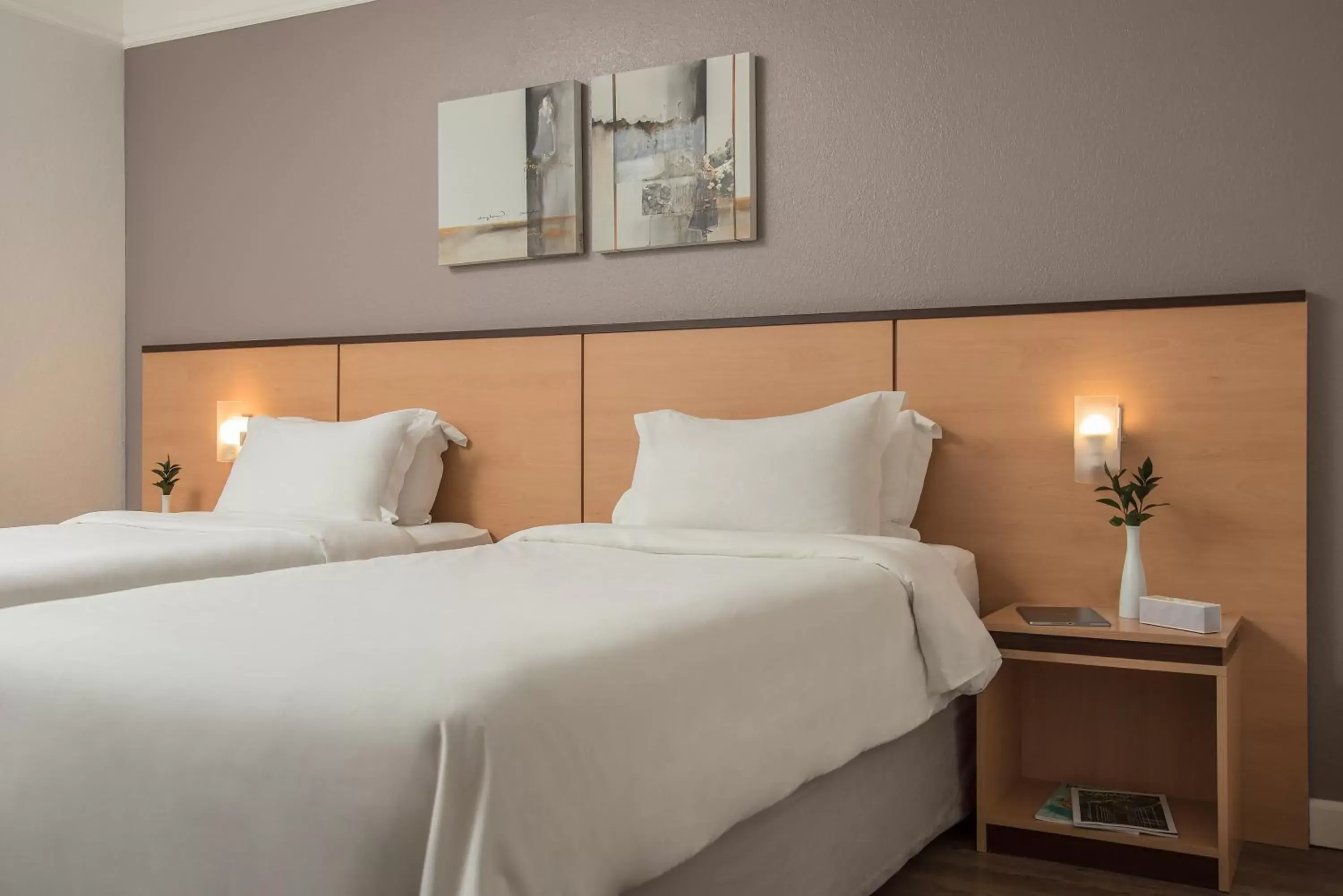 Superior Luxury Twin Room in Intercity Caxias do Sul