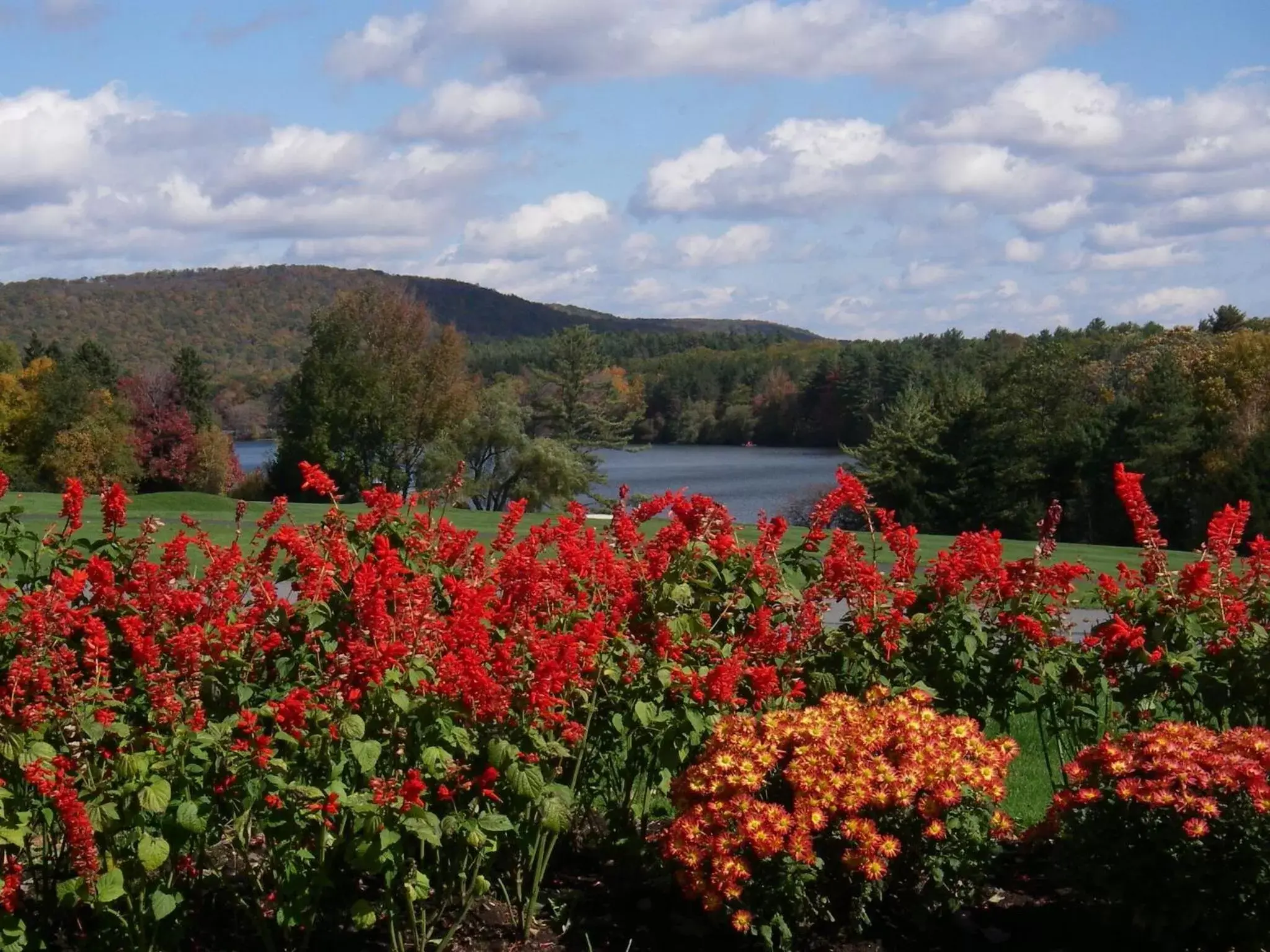 Spring in Skytop Lodge