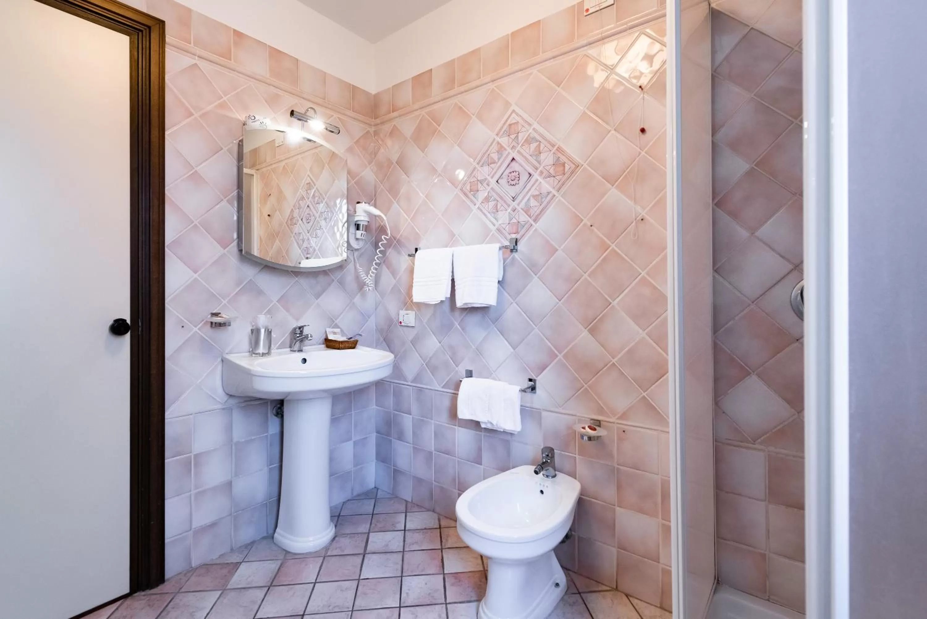 Shower in Hotel Il Ceppo