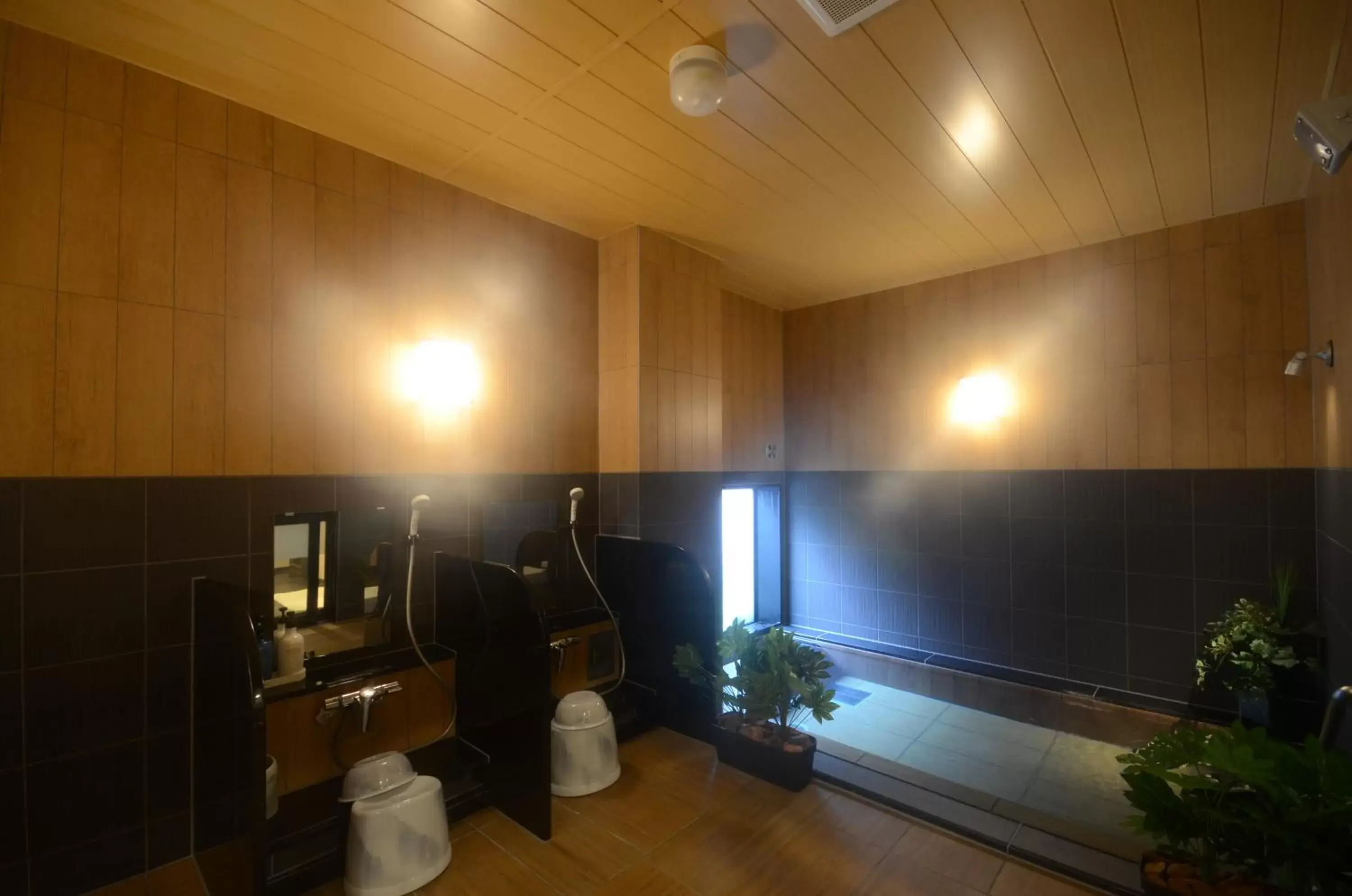 Public Bath in Hotel Route Inn Annaka