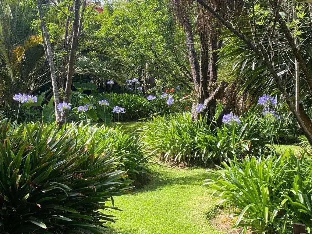 Natural landscape, Garden in Hotel Casa de Familia de San Cristobal