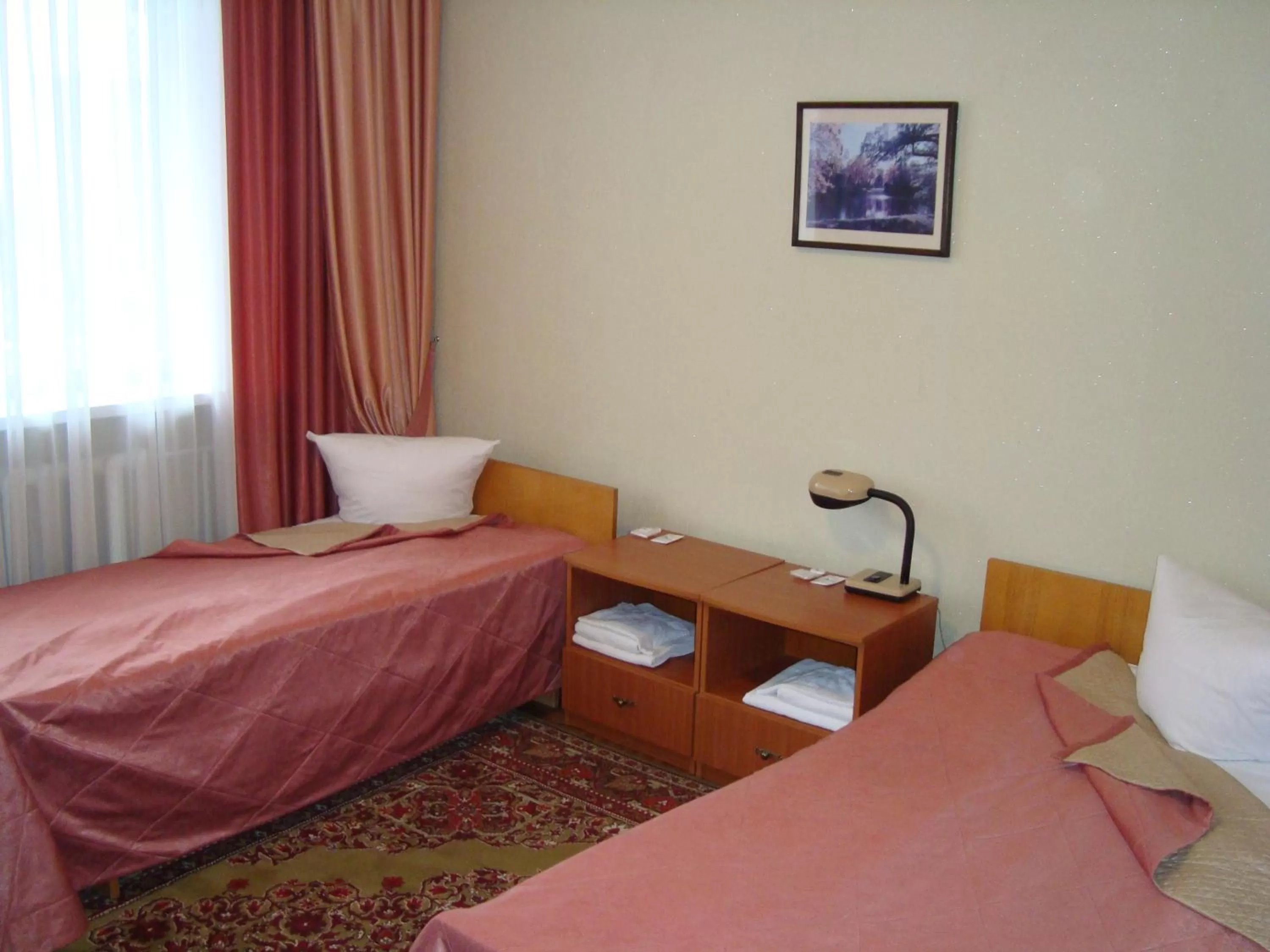 Economy Twin in block in Dnipro Hotel