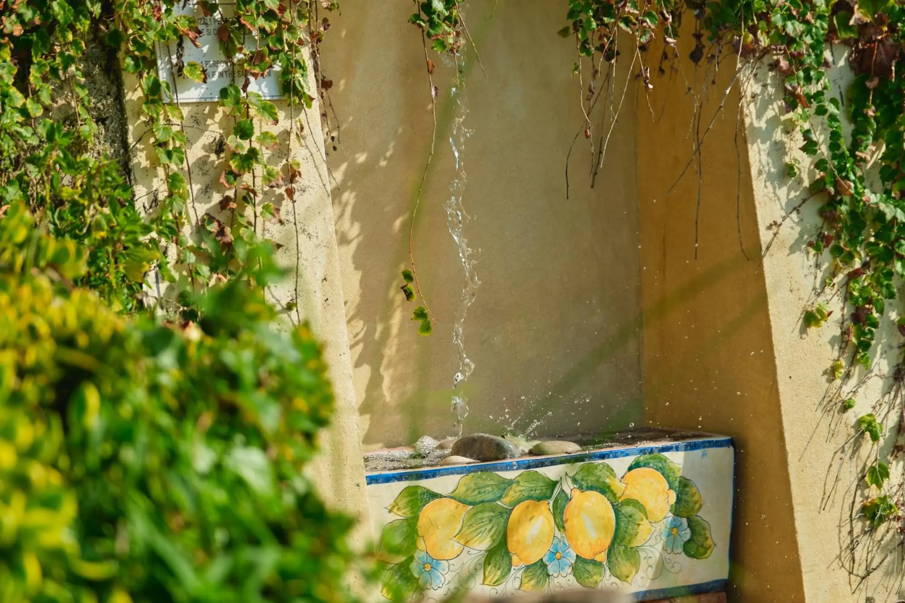 Spa and wellness centre/facilities in Hotel Botanico San Lazzaro Spa and wellness centre/facilities in Hotel Botanico San Lazzaro