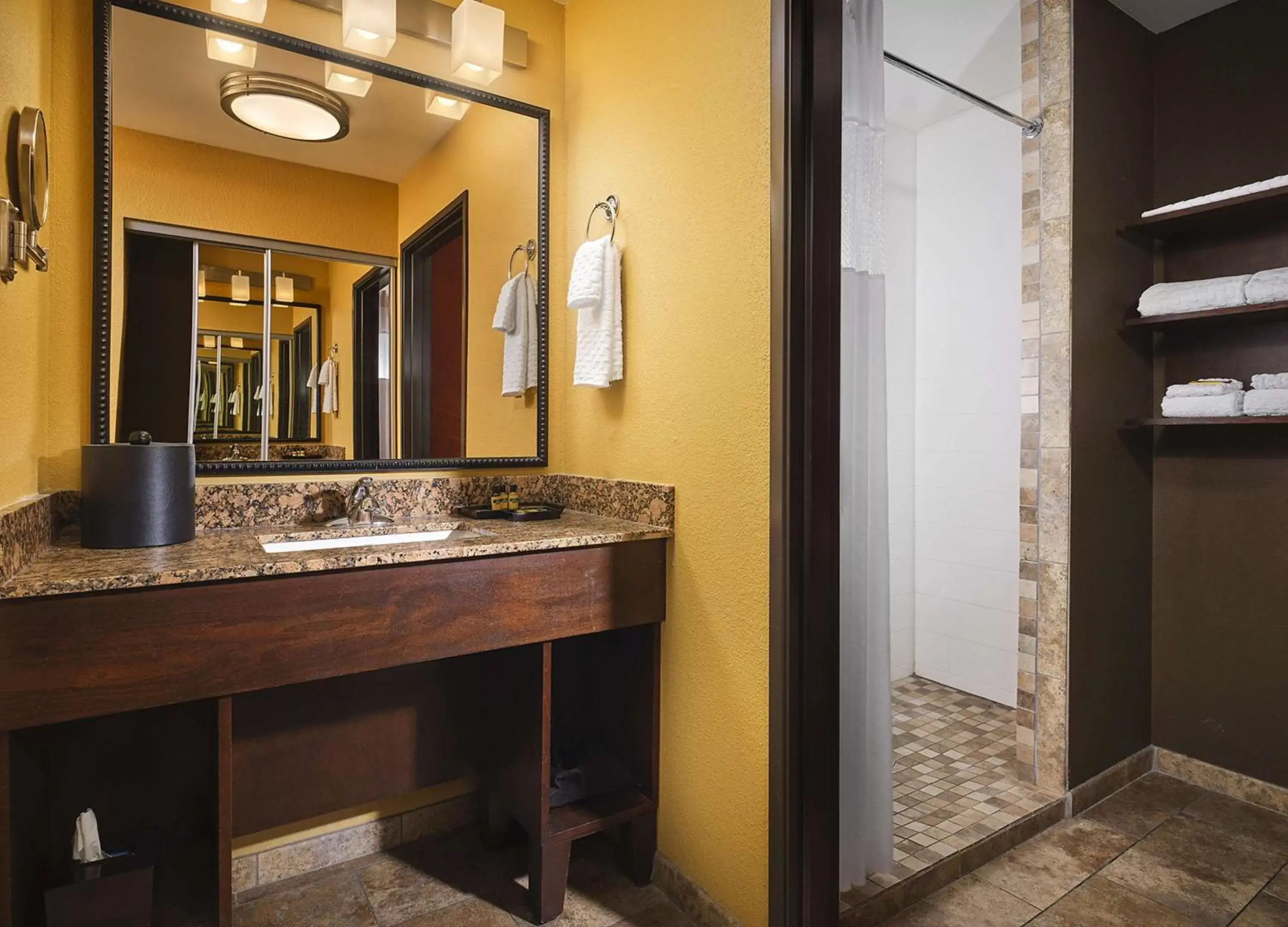 Bathroom in Best Western Plus Tupelo Inn & Suites