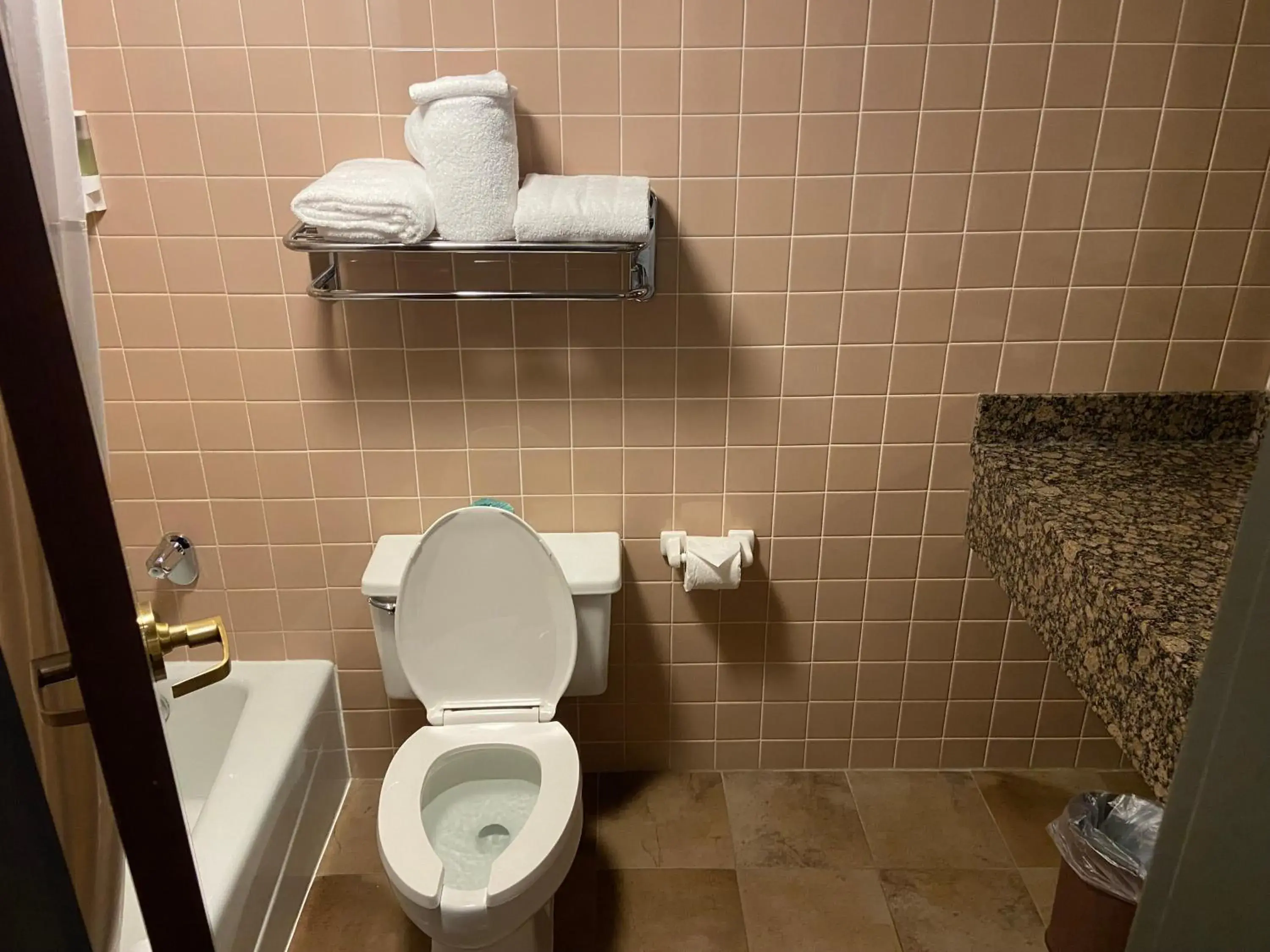Toilet, Bathroom in Hotel Lotus Kansas City Merriam