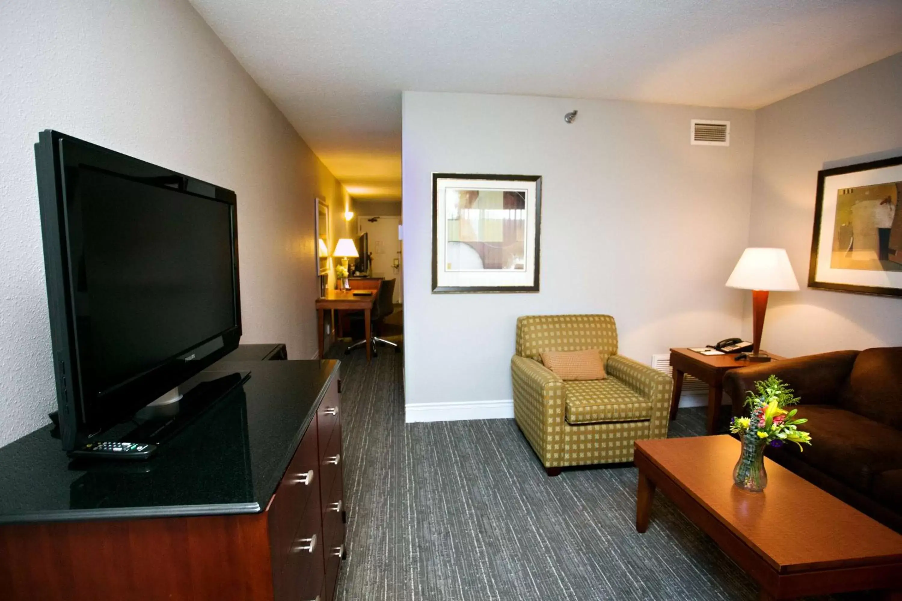 Bed, TV/Entertainment Center in DoubleTree by Hilton Minneapolis Park Place