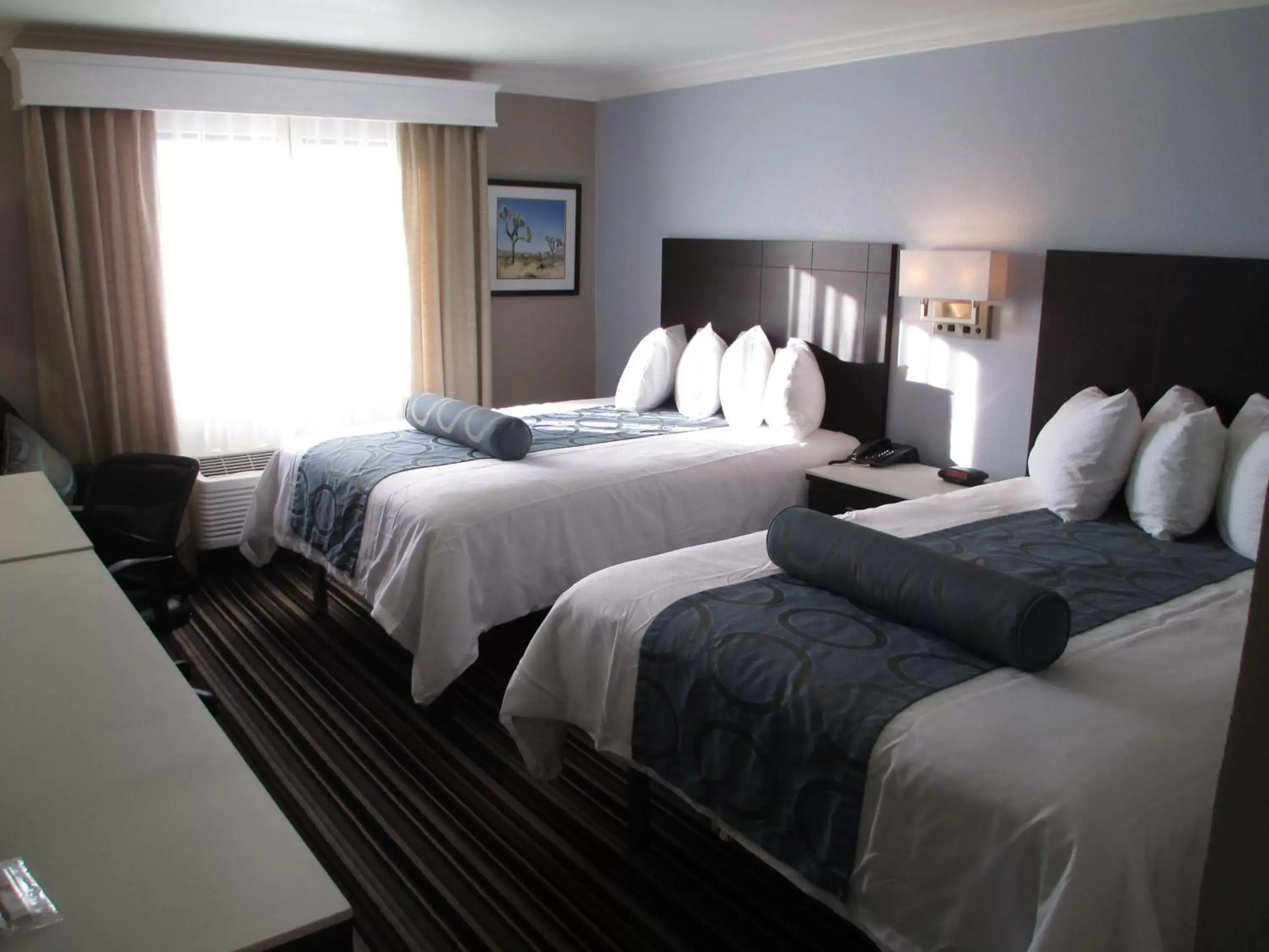 Photo of the whole room, Bed in Best Western Plus Diamond Valley Inn