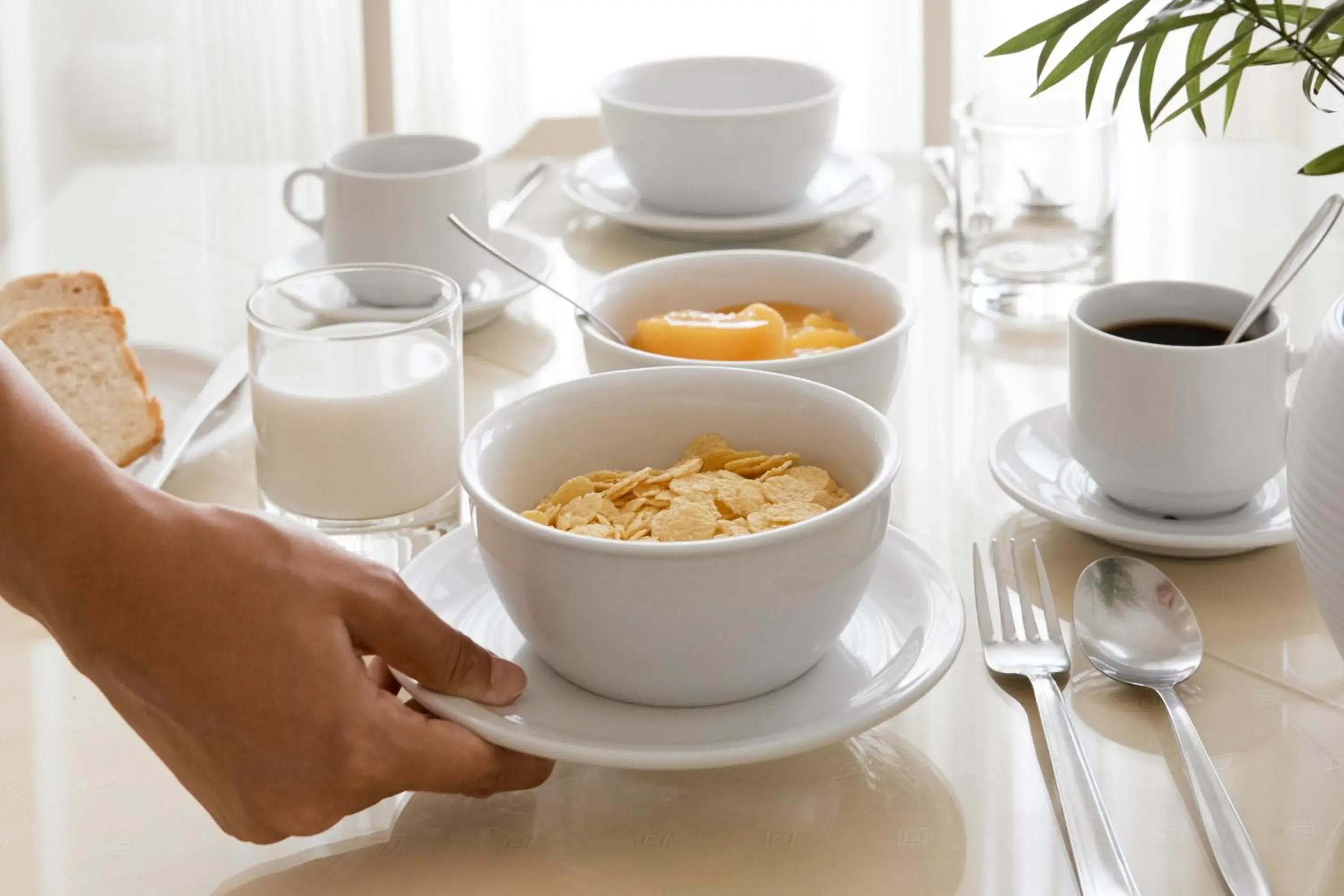 Breakfast in Nissos Thira Breakfast in Nissos Thira