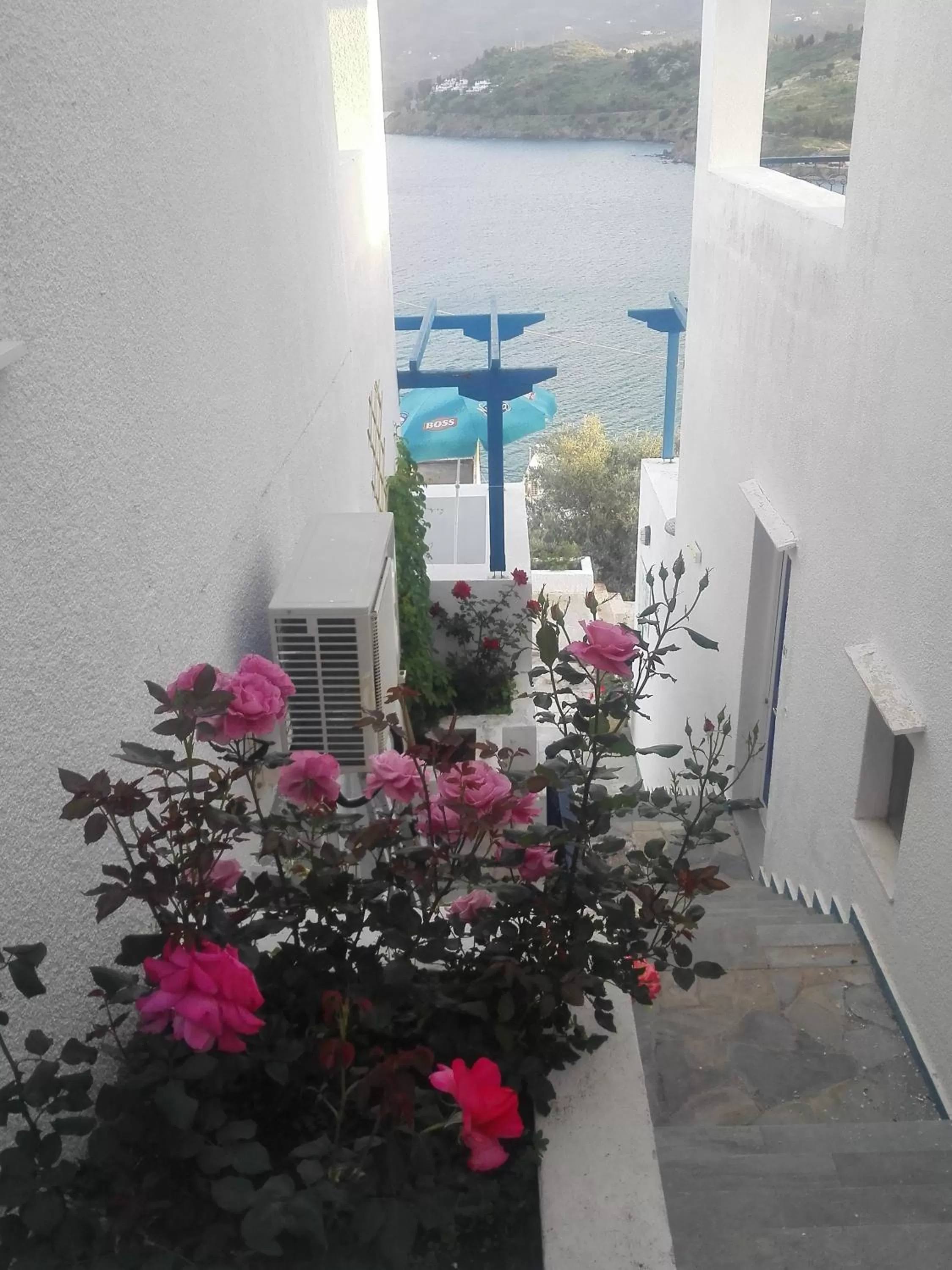 Garden, Pool View in Rania Studios