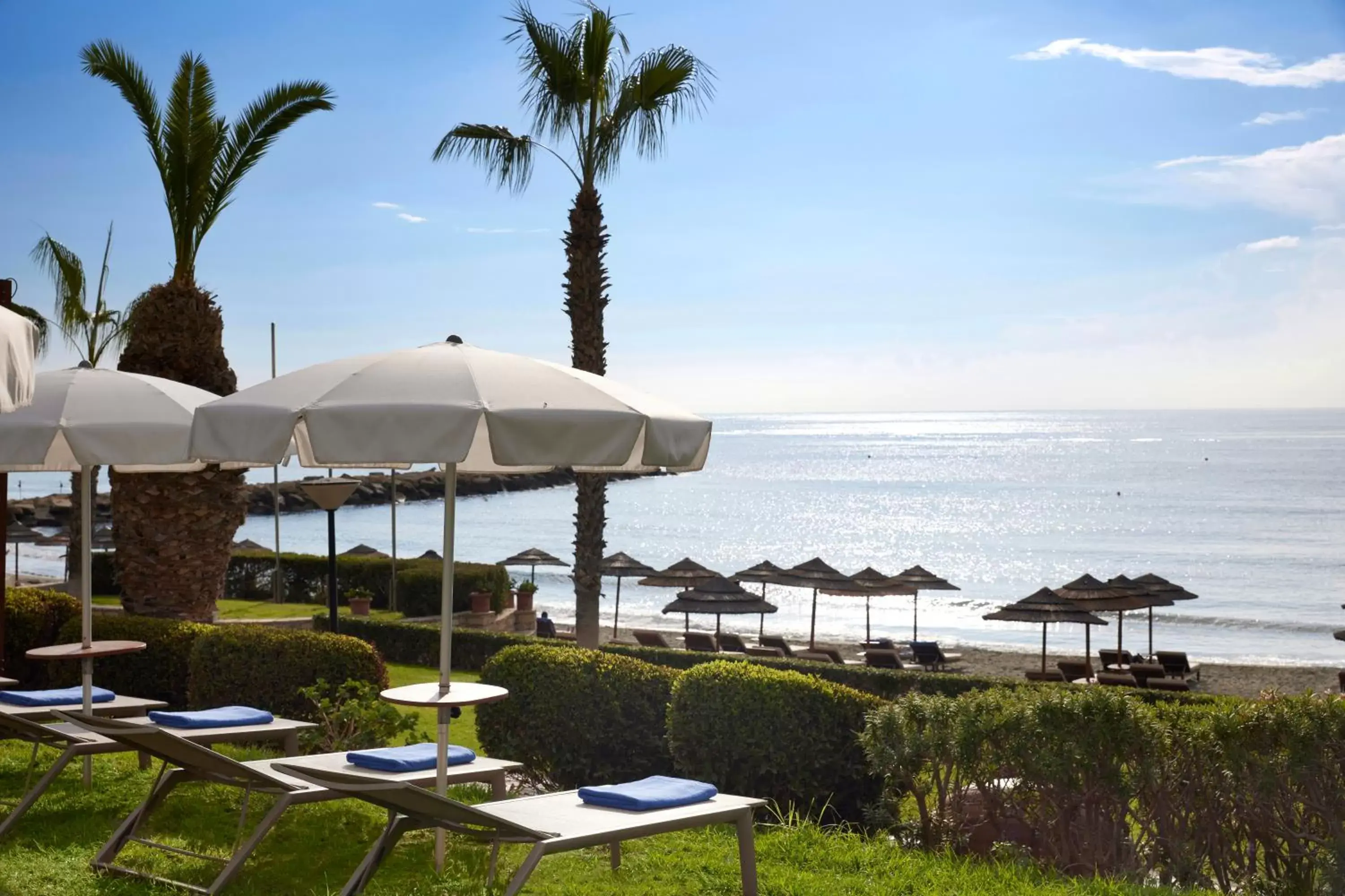 Garden in Mediterranean Beach Hotel