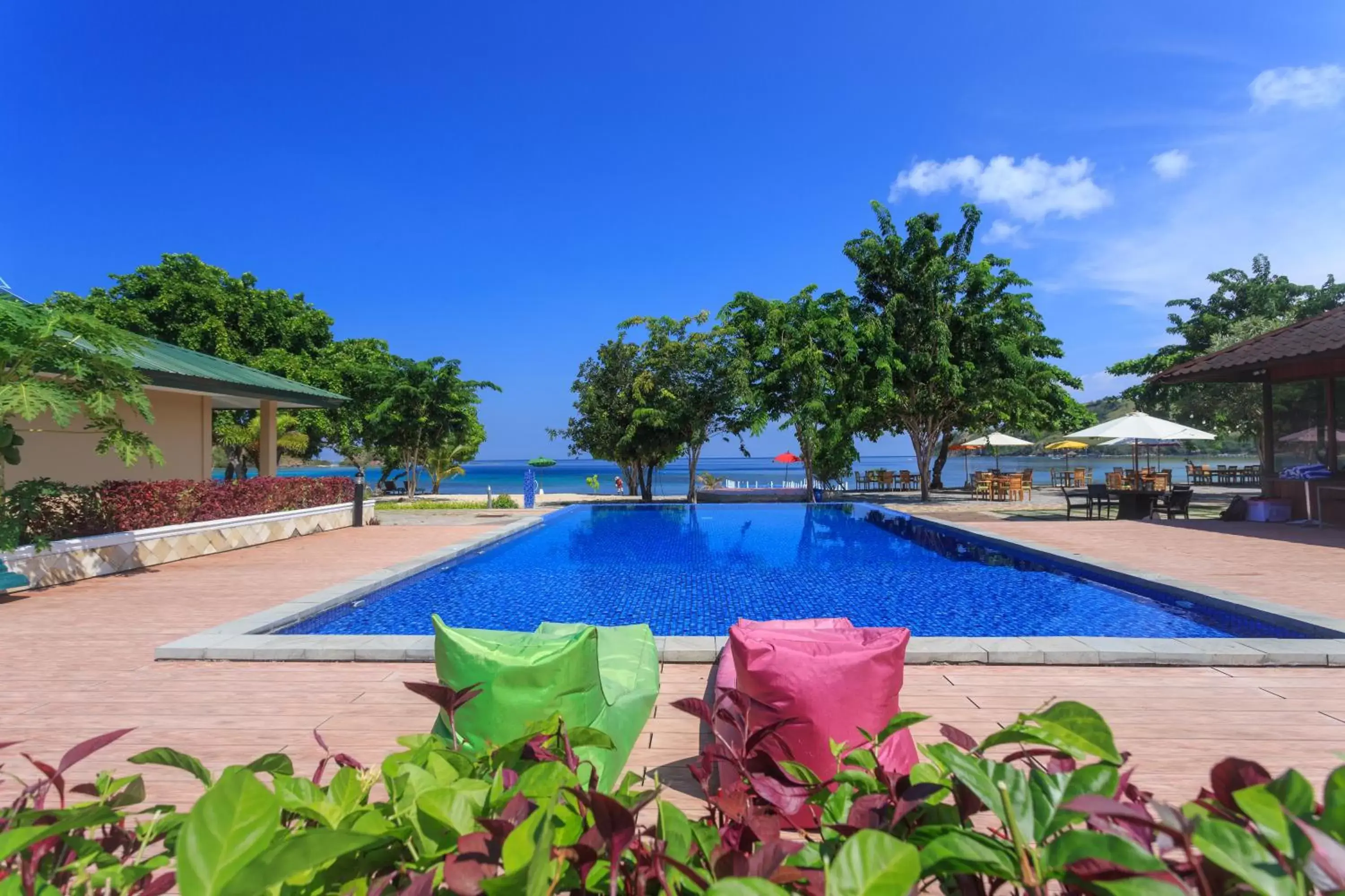 Beach, Swimming Pool in Sylvia Beach Villa