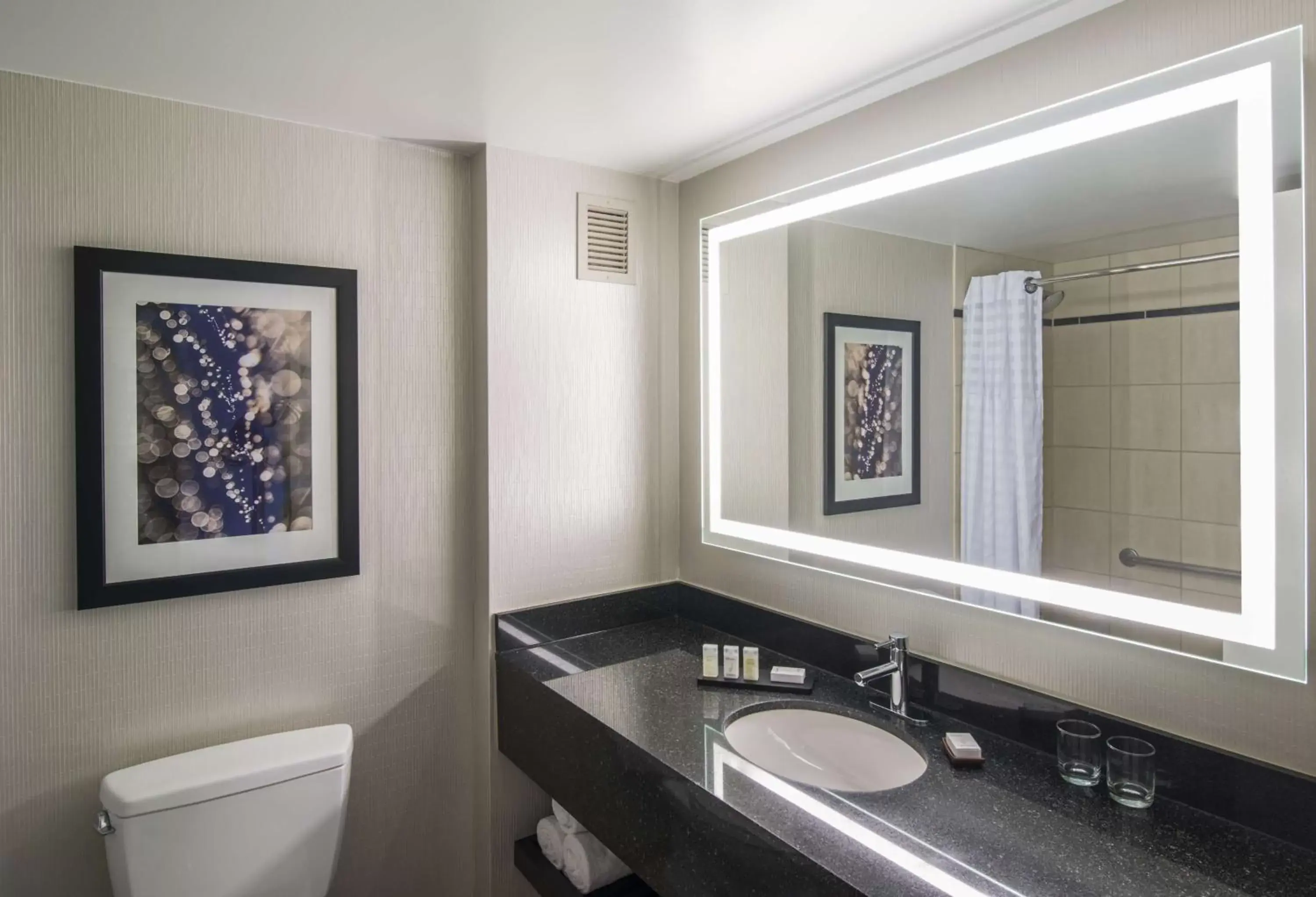 Bathroom in Embassy Suites by Hilton Chicago Downtown Magnificent Mile