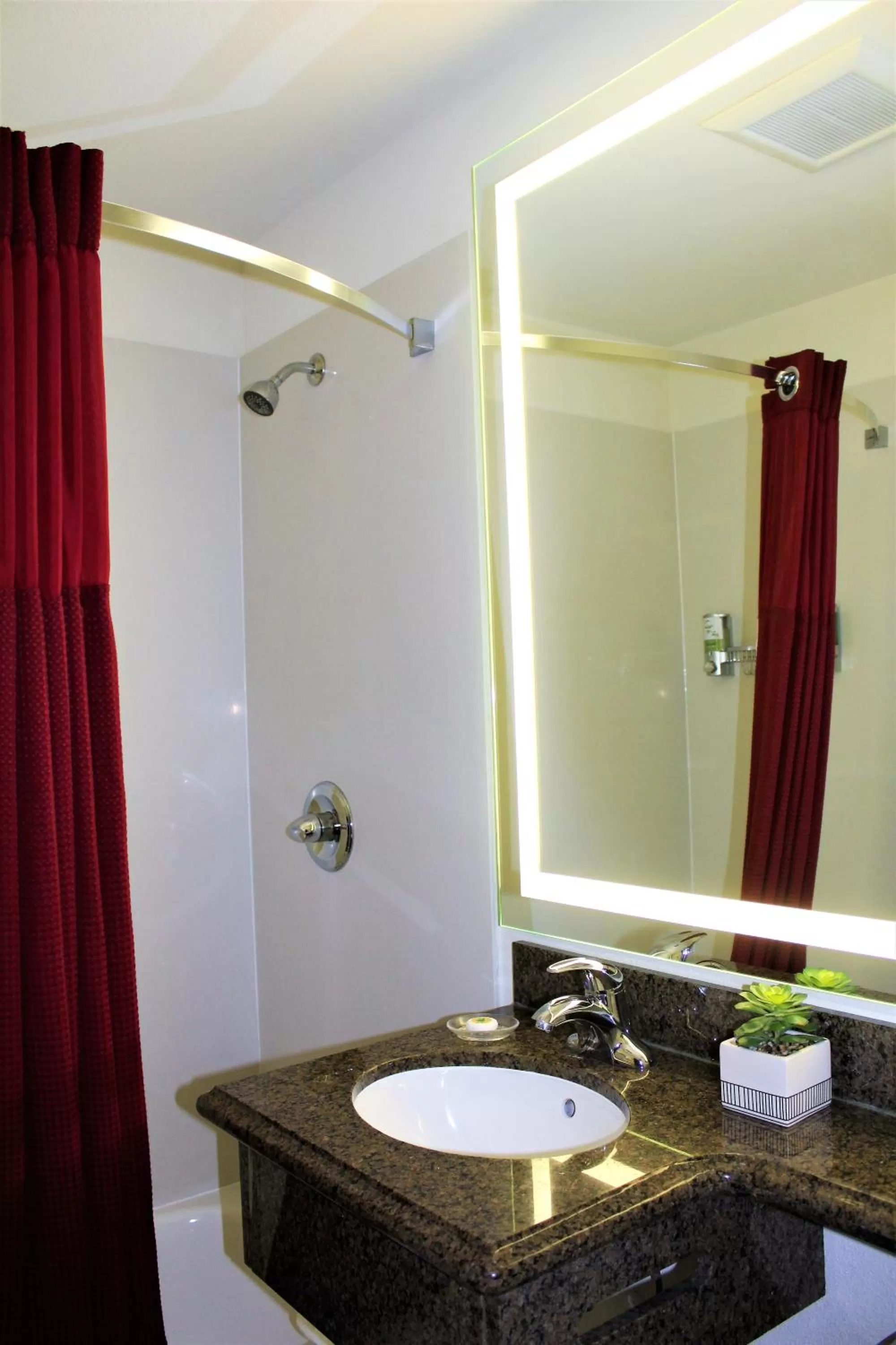 Bathroom in Rodeway Inn South San Francisco Airport