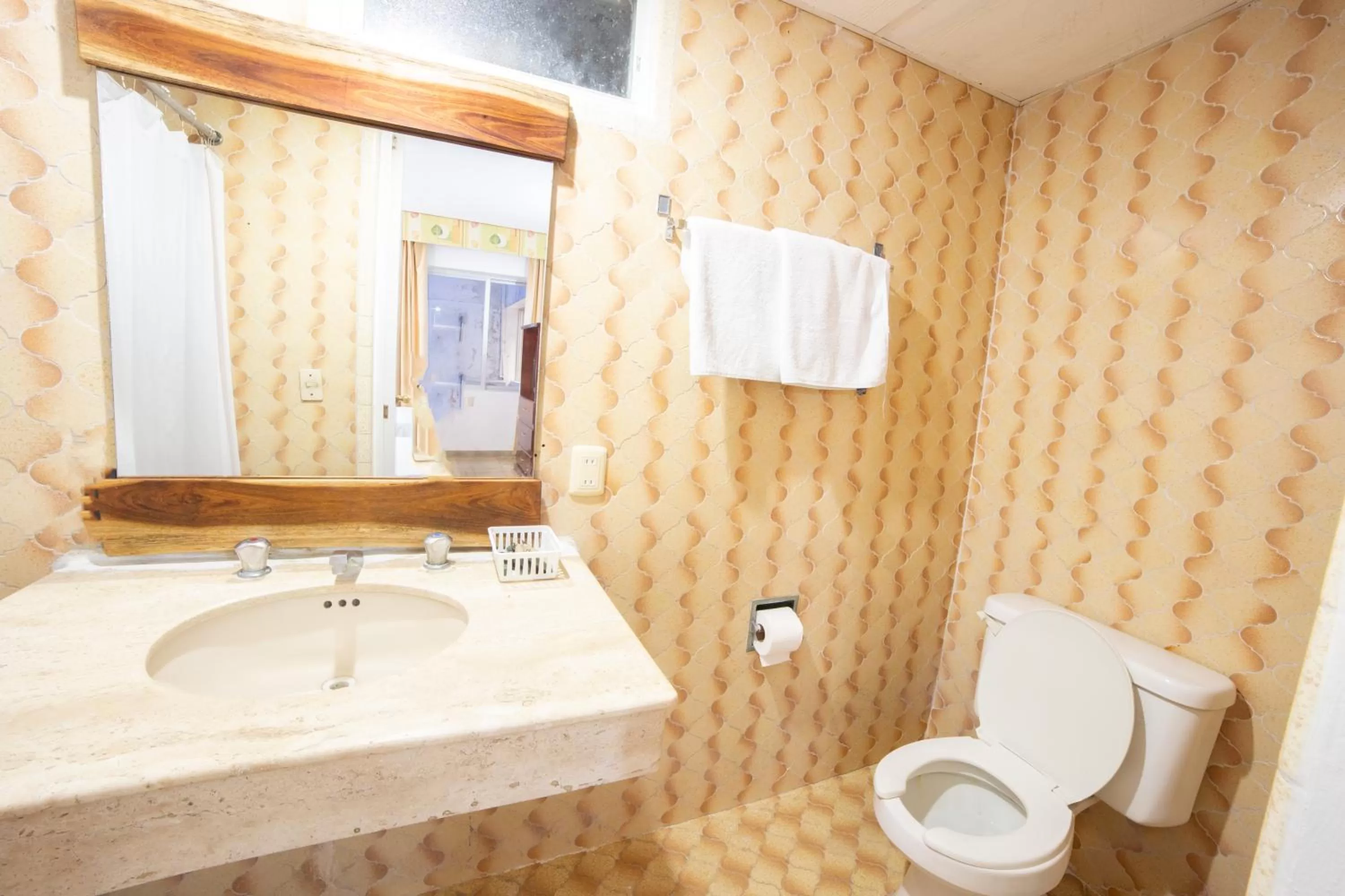 Toilet, Bathroom in Caribe Princess