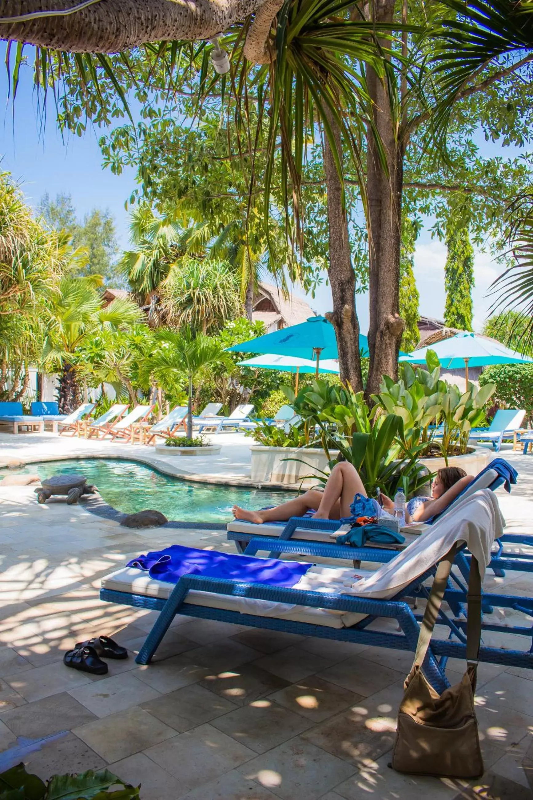 Swimming Pool in Sunrise Resort