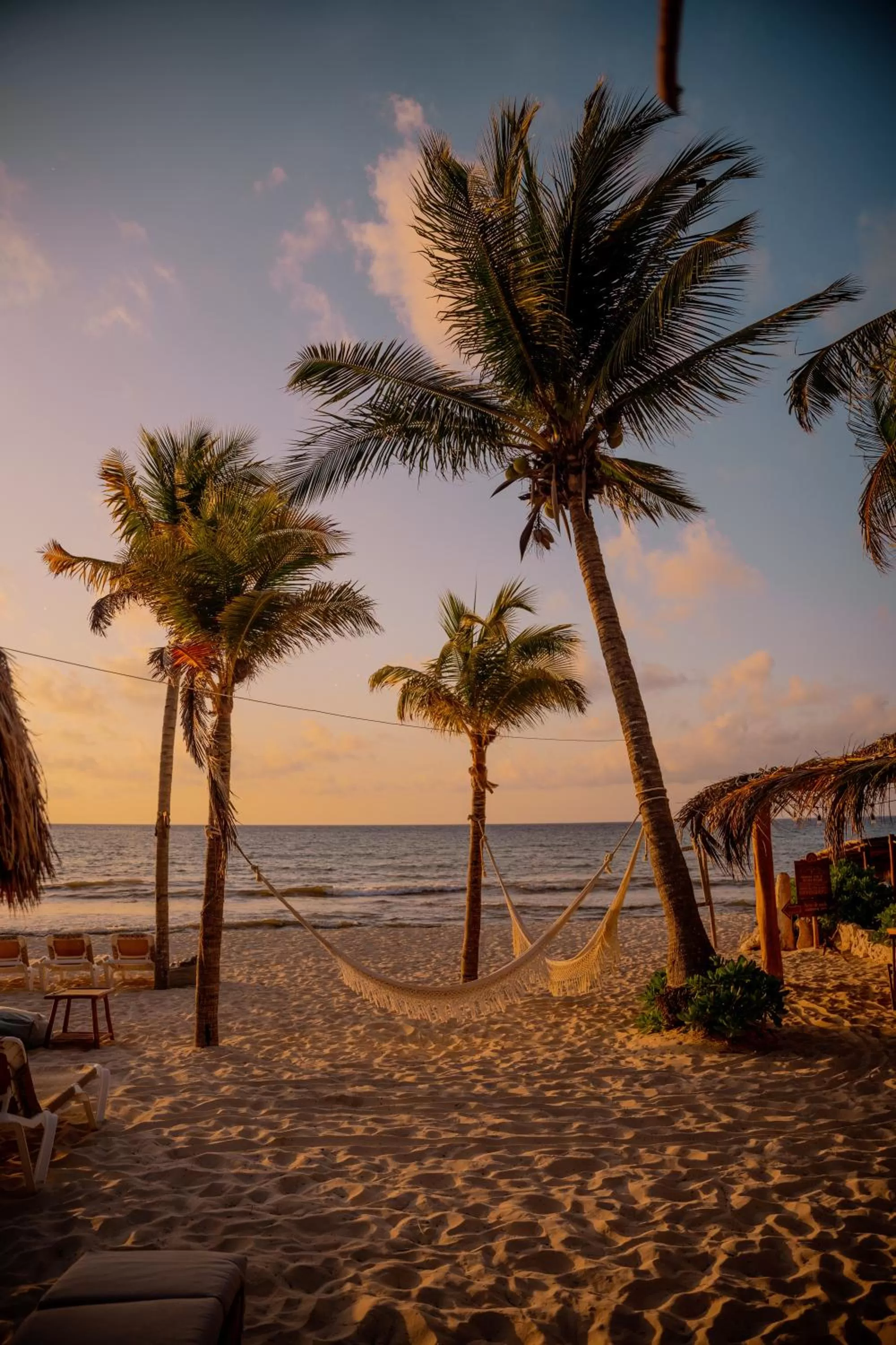 Beach in Petit Lafitte Beach Front Hotel & Bungalows