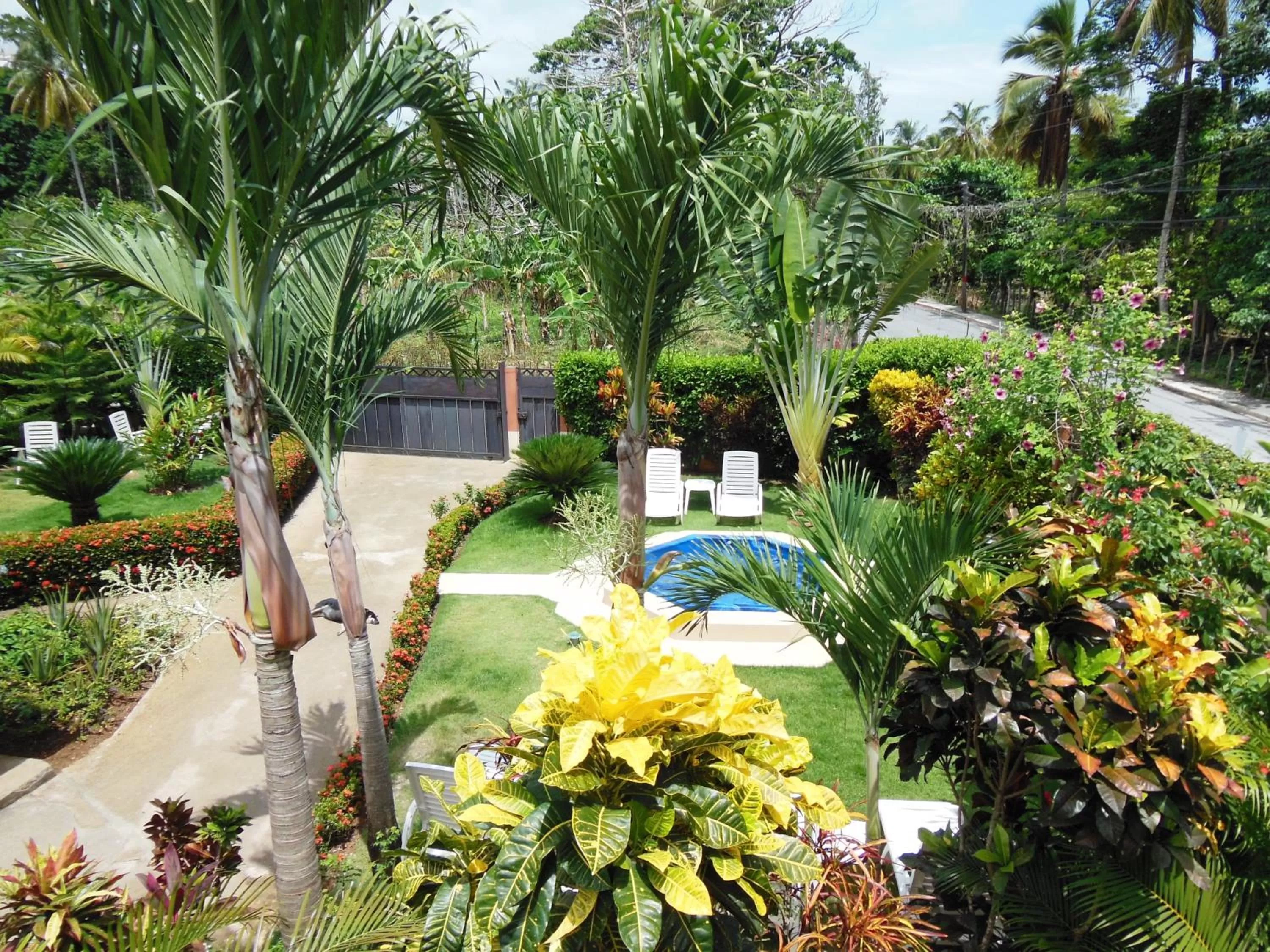 Garden view, Pool View in Casa Lily & Coco