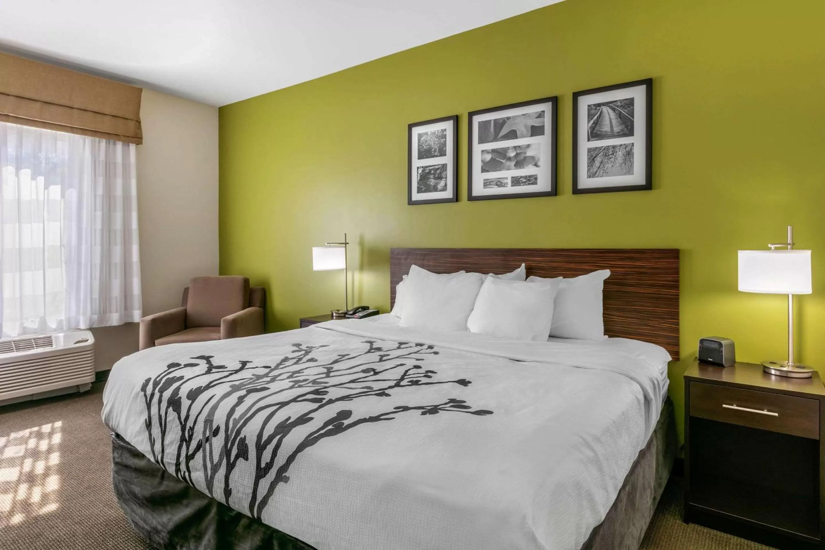 Photo of the whole room, Bed in Sleep Inn & Suites Columbia I-65