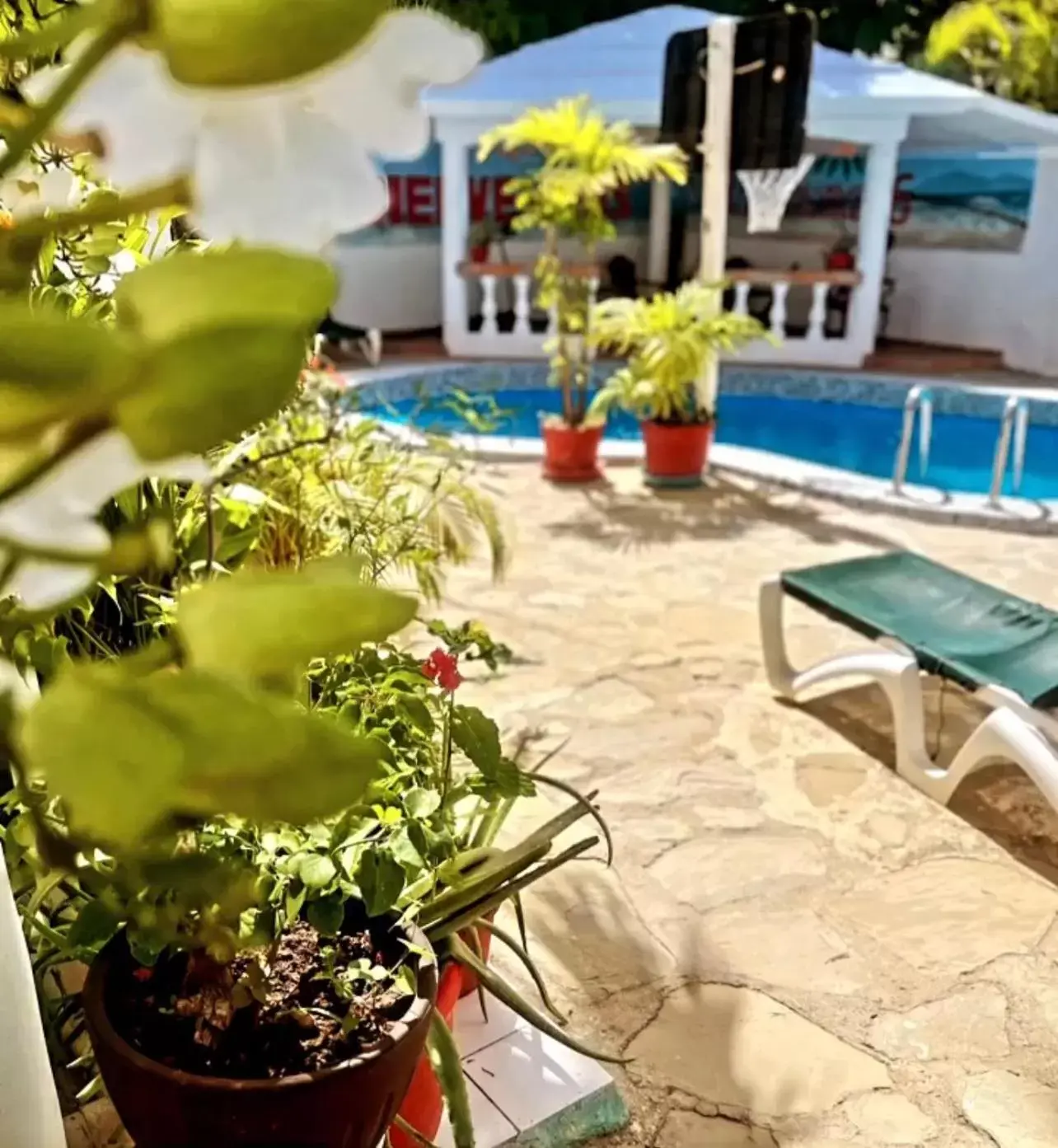 Patio, Swimming Pool in Villa Antonia 16