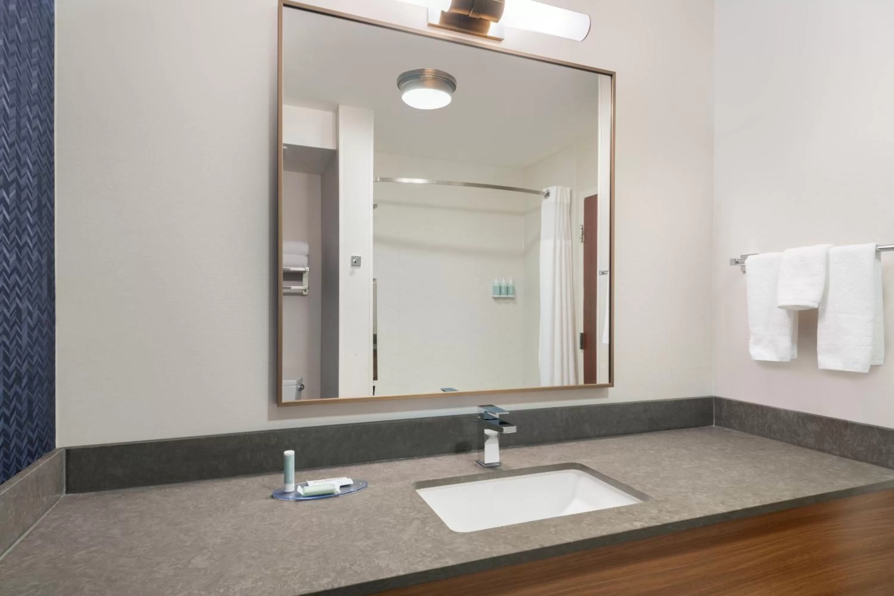 Bathroom in Fairfield Inn & Suites Denton