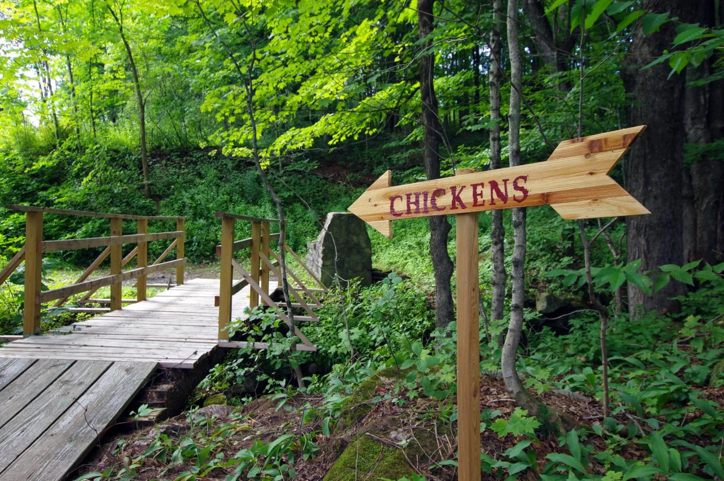 Animals in The Wilmington Inn