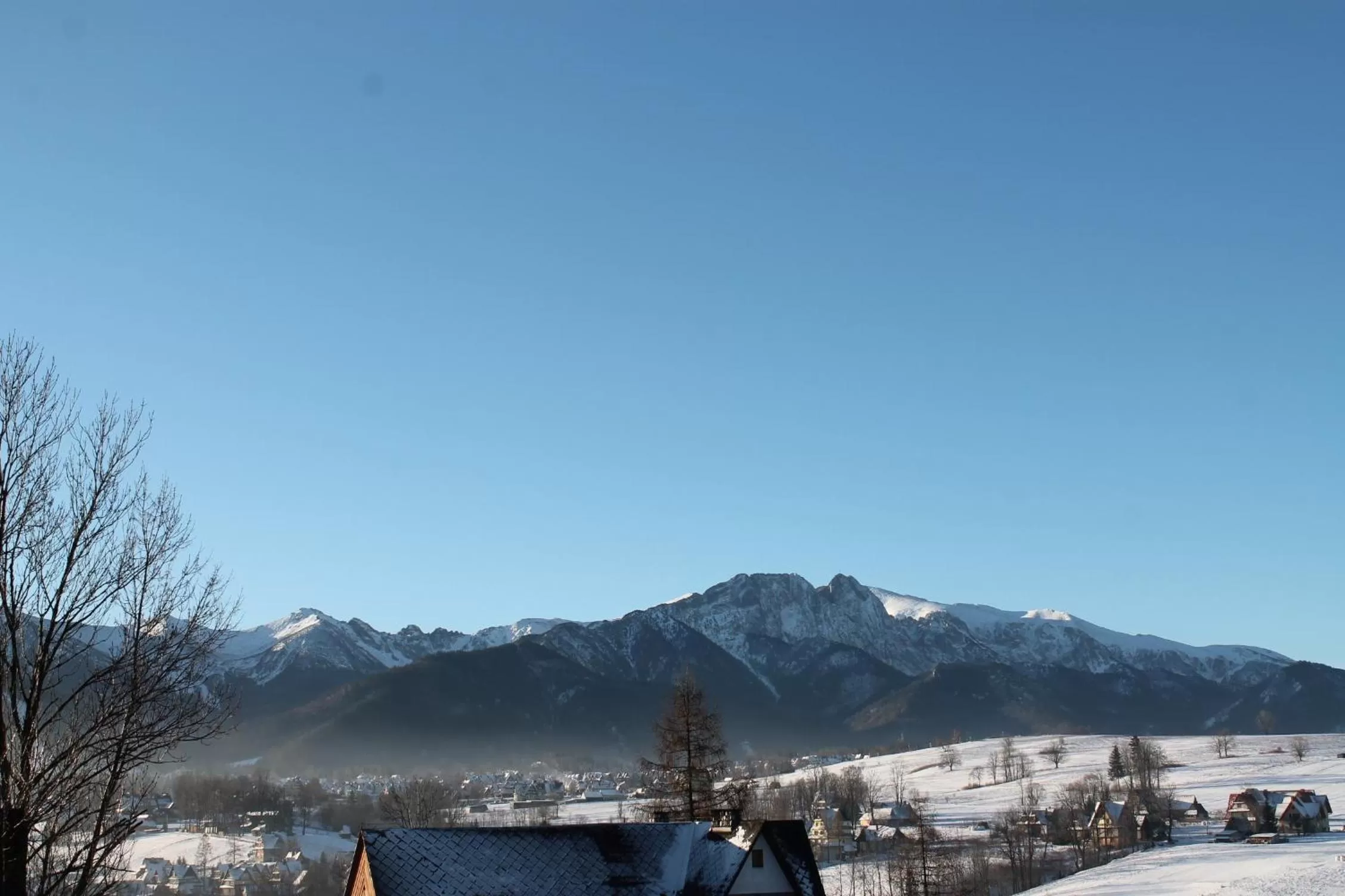 Day in Willa Grzesiczek