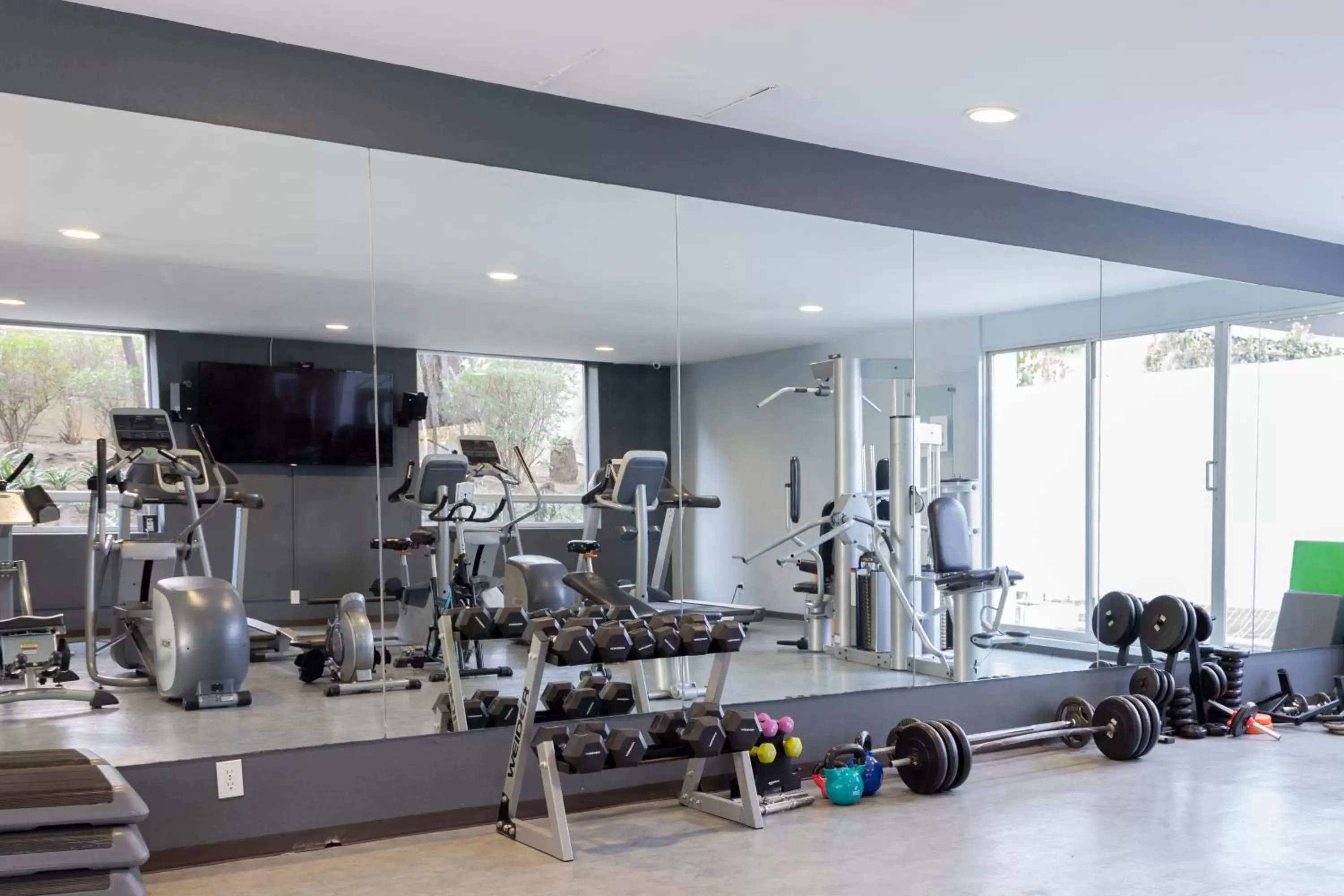 Fitness centre/facilities, Fitness Center/Facilities in Capitalia - Apartments - Santa Fe