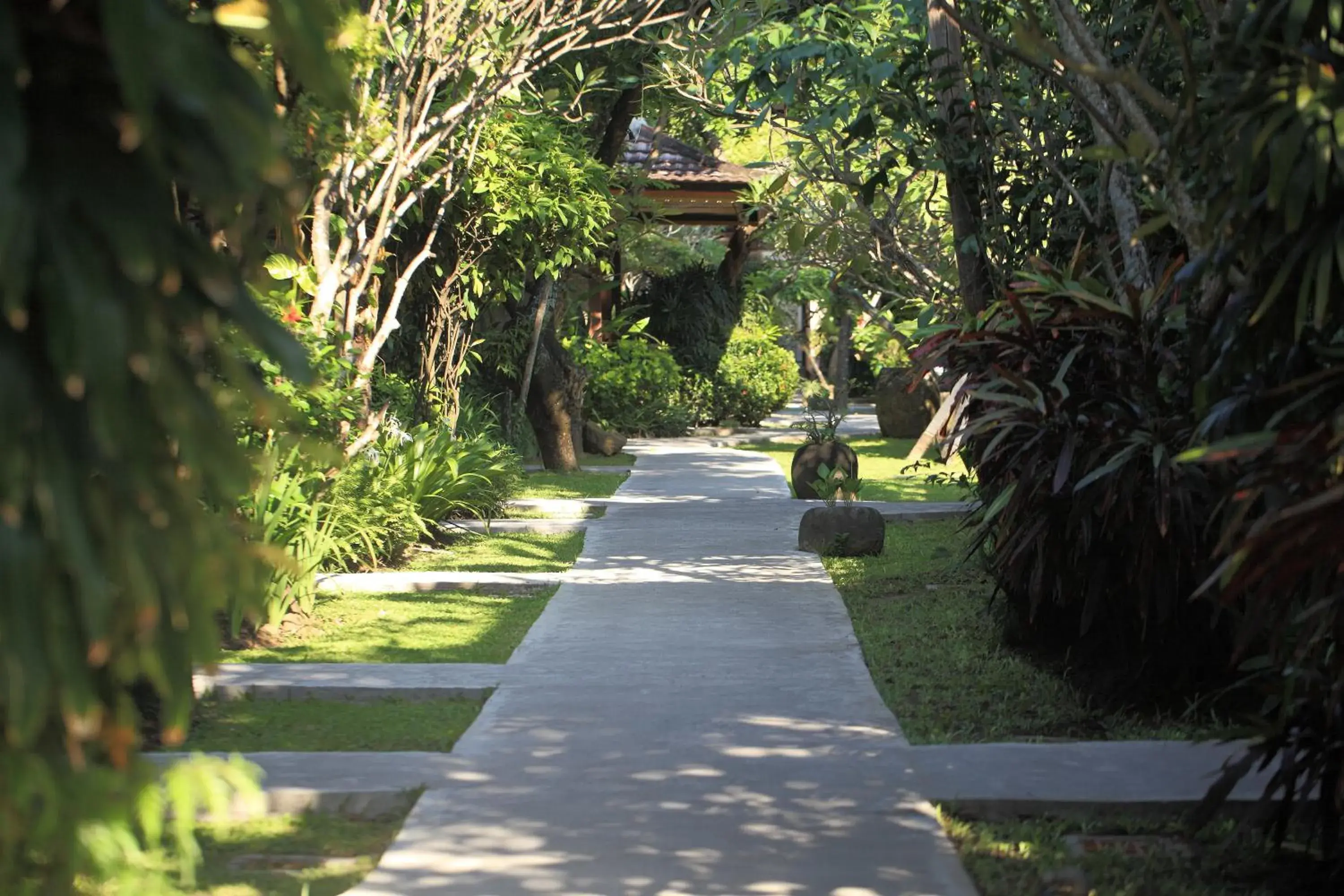 Garden view, Garden in Matahari Bungalow Hotel