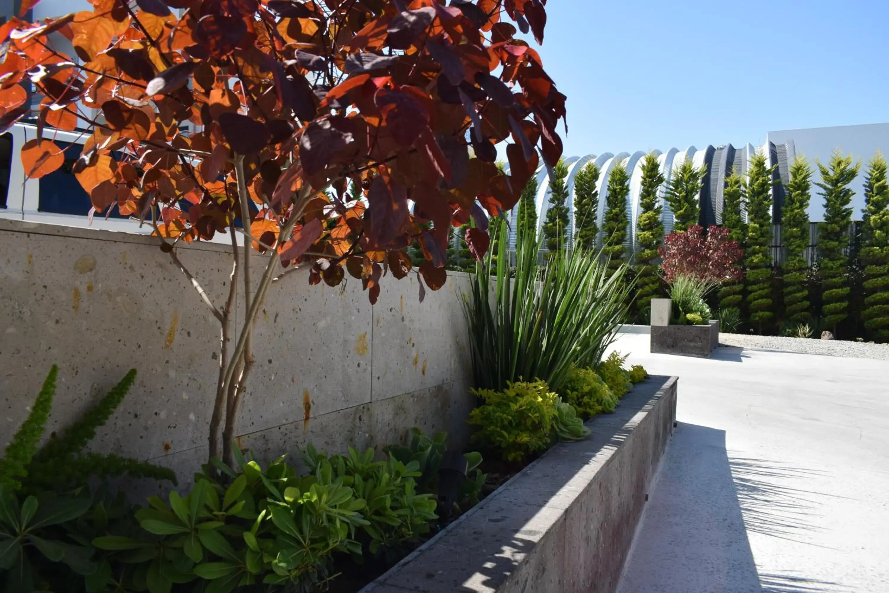 Patio in Hotel Pacific