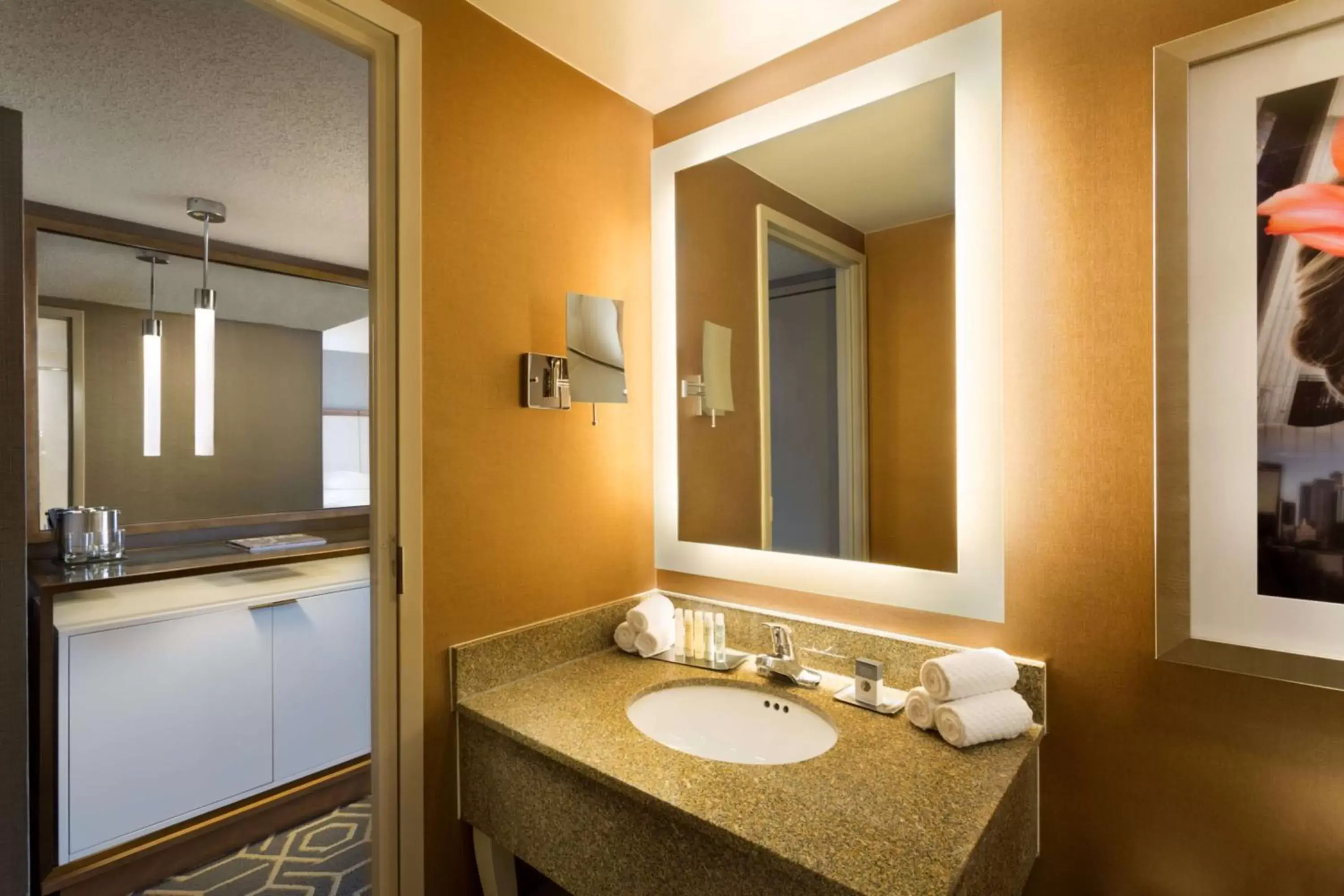Bathroom in DoubleTree by Hilton Hotel Dallas Campbell Centre
