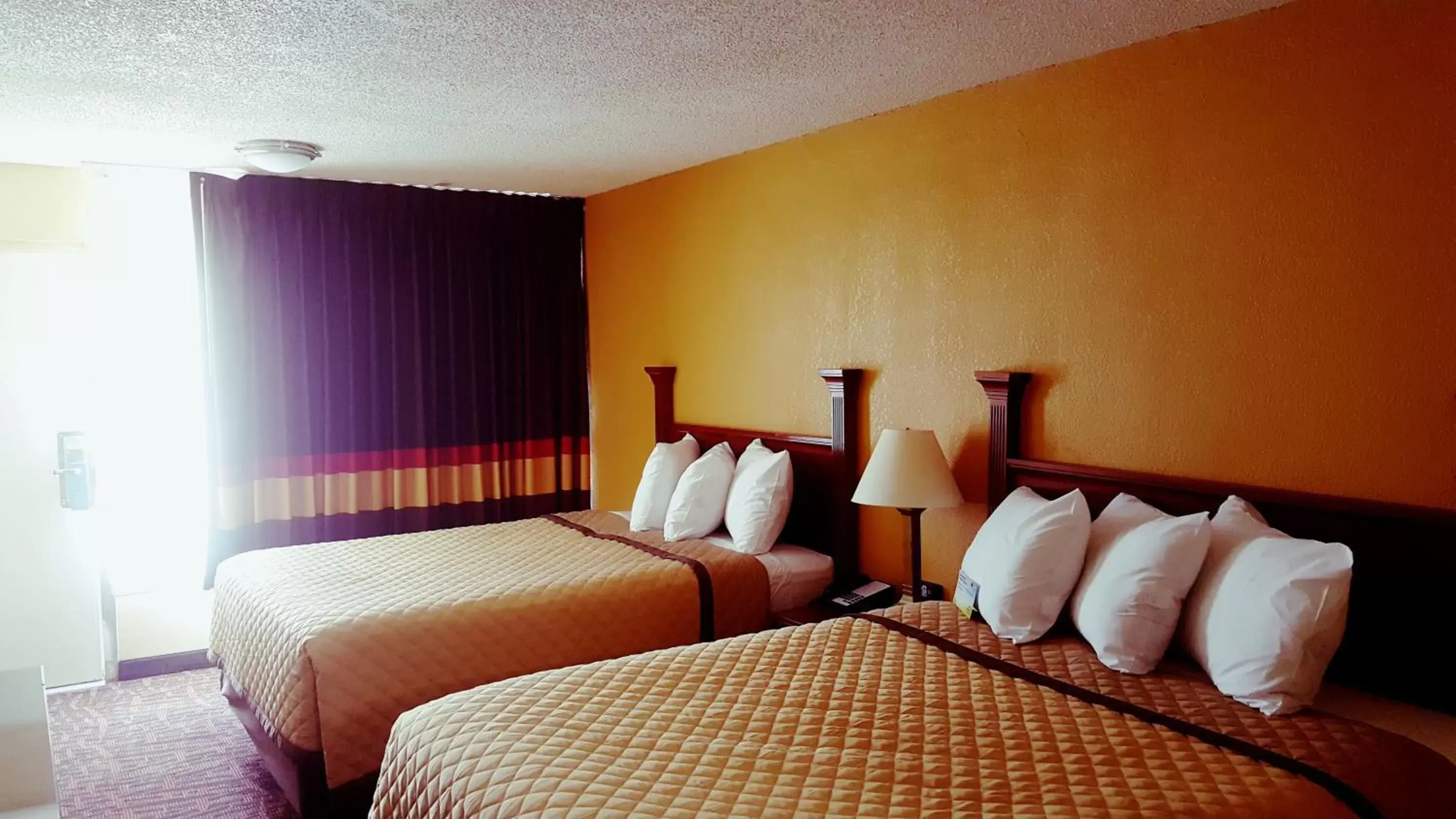 Photo of the whole room, Bed in Rodeway Inn