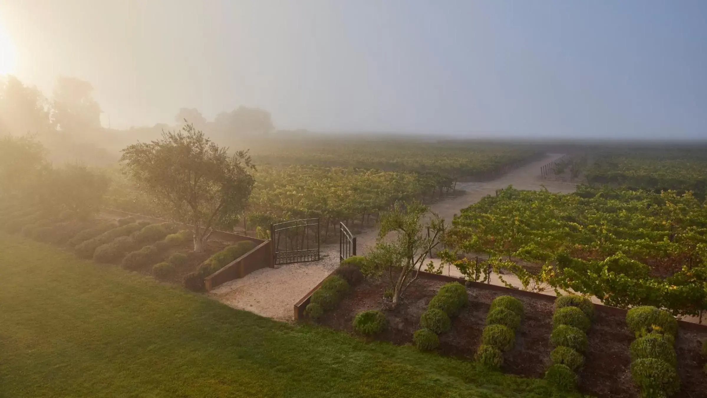 Day, Bird's-eye View in Vintners Resort