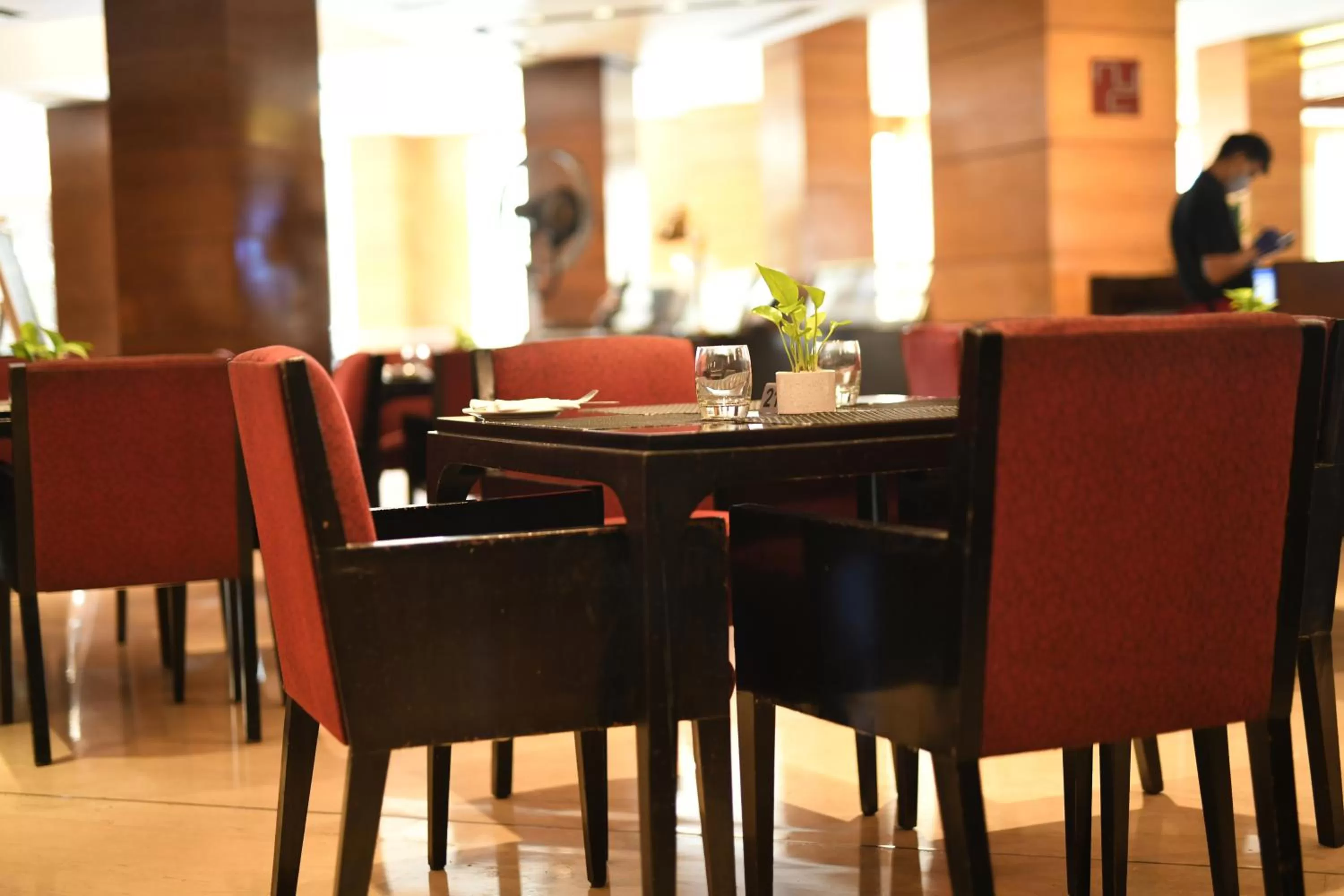 Restaurant/places to eat in Radisson Blu Plaza Delhi Airport