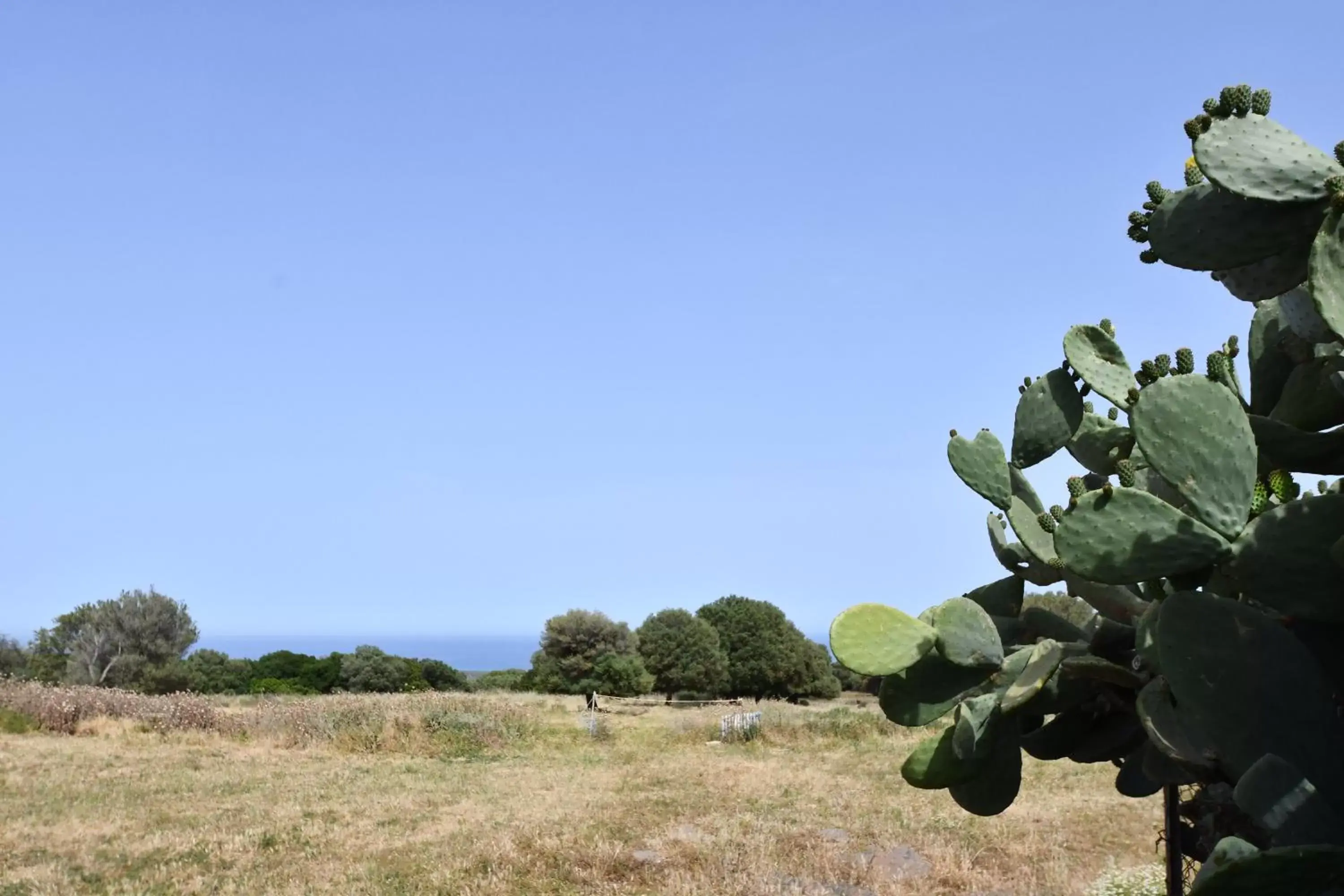 Natural landscape in Tenute Efis