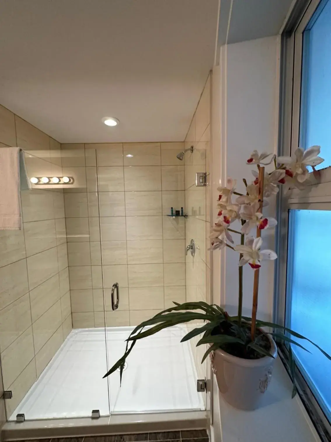 Shower, Bathroom in Bayshore Waterfront Inn