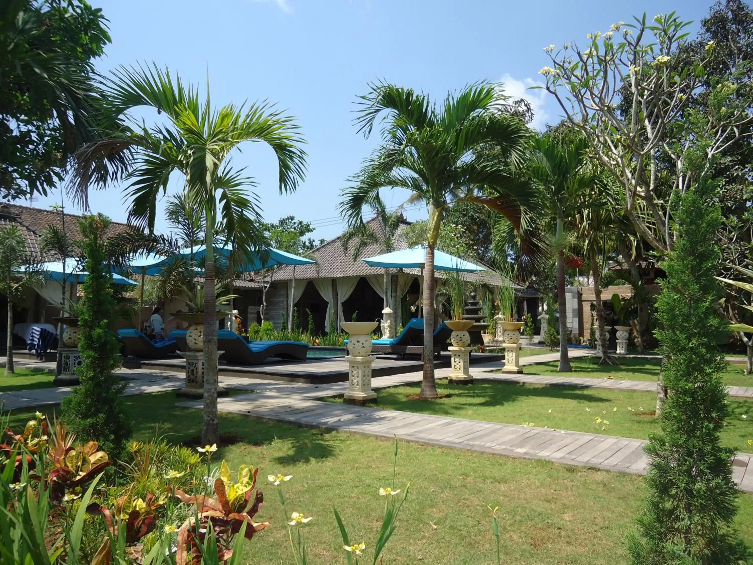 Day, Garden in The Palm Grove Villas