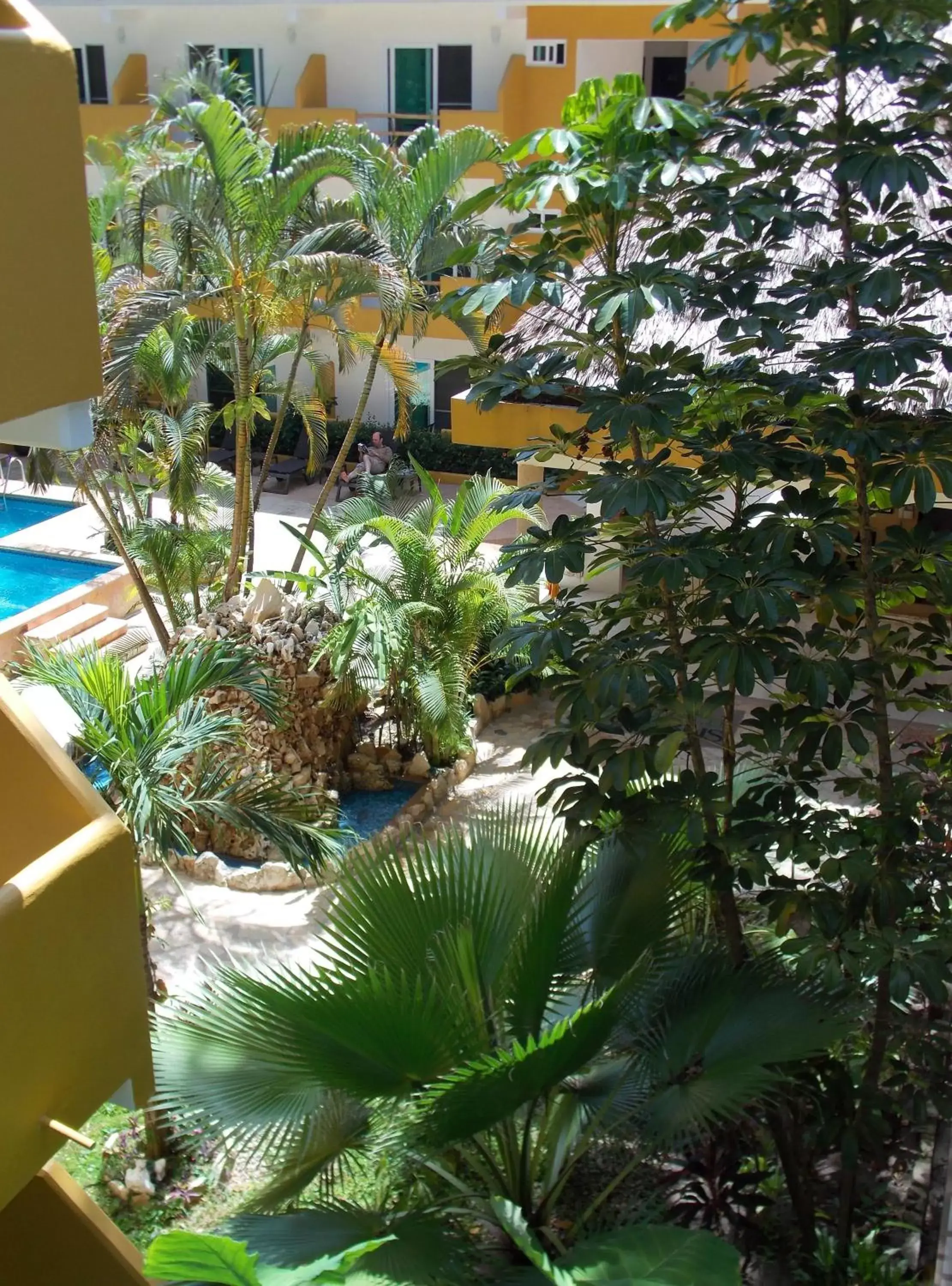 Garden in Hotel Chablis Palenque